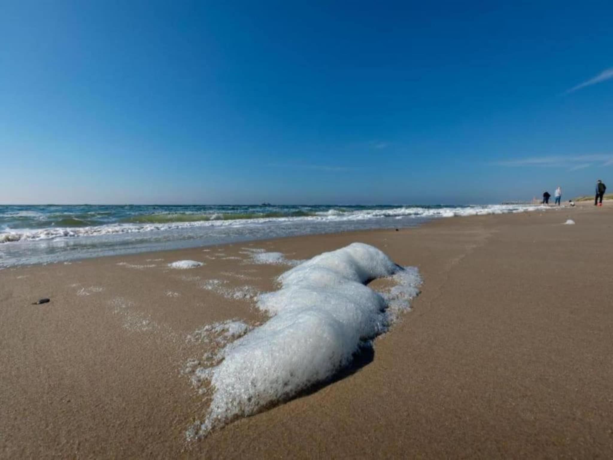 De omgeving van Belkmerduinen 31 in Sint Maartenszee