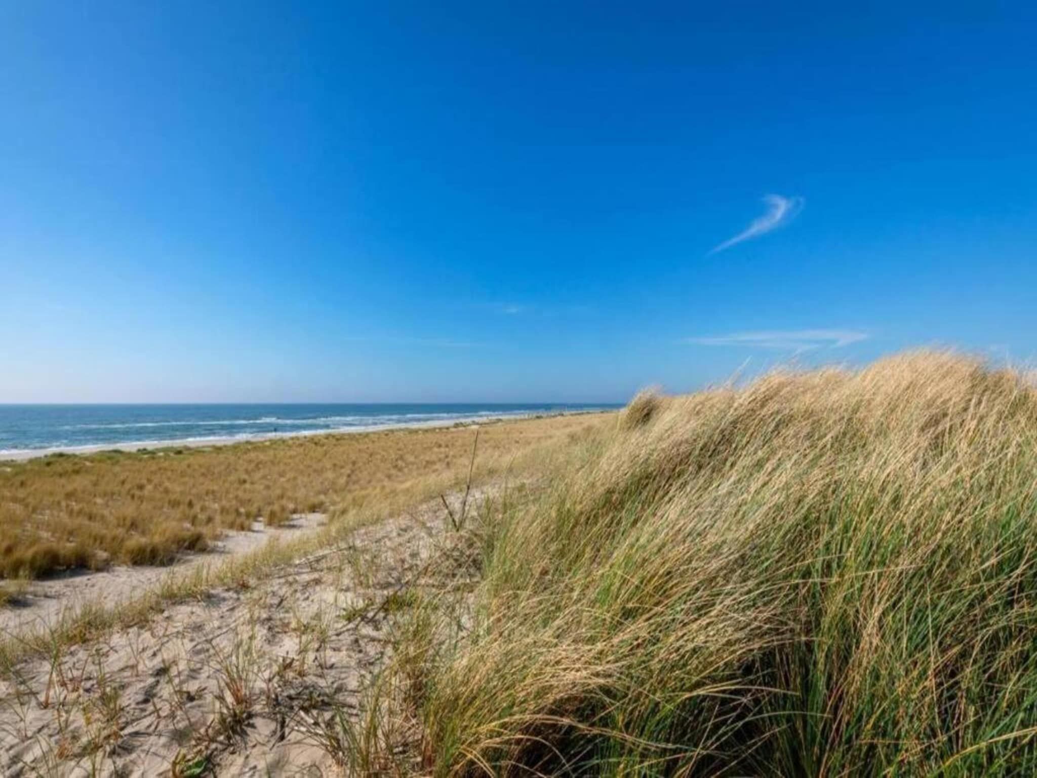 De omgeving van Belkmerduinen 31 in Sint Maartenszee
