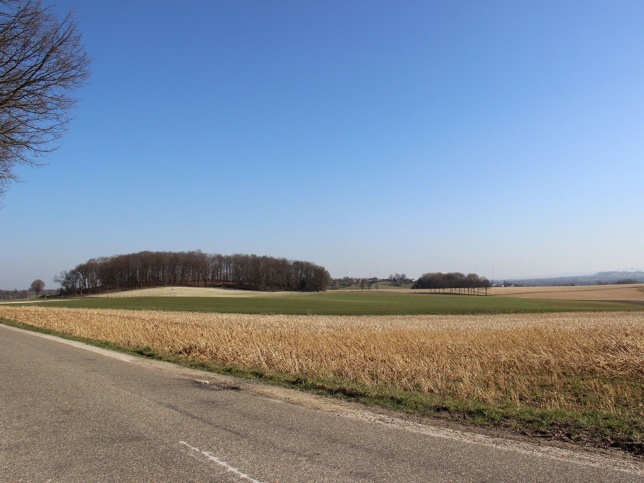 De omgeving van Valleyview Cottages - NR17 in Voerendaal