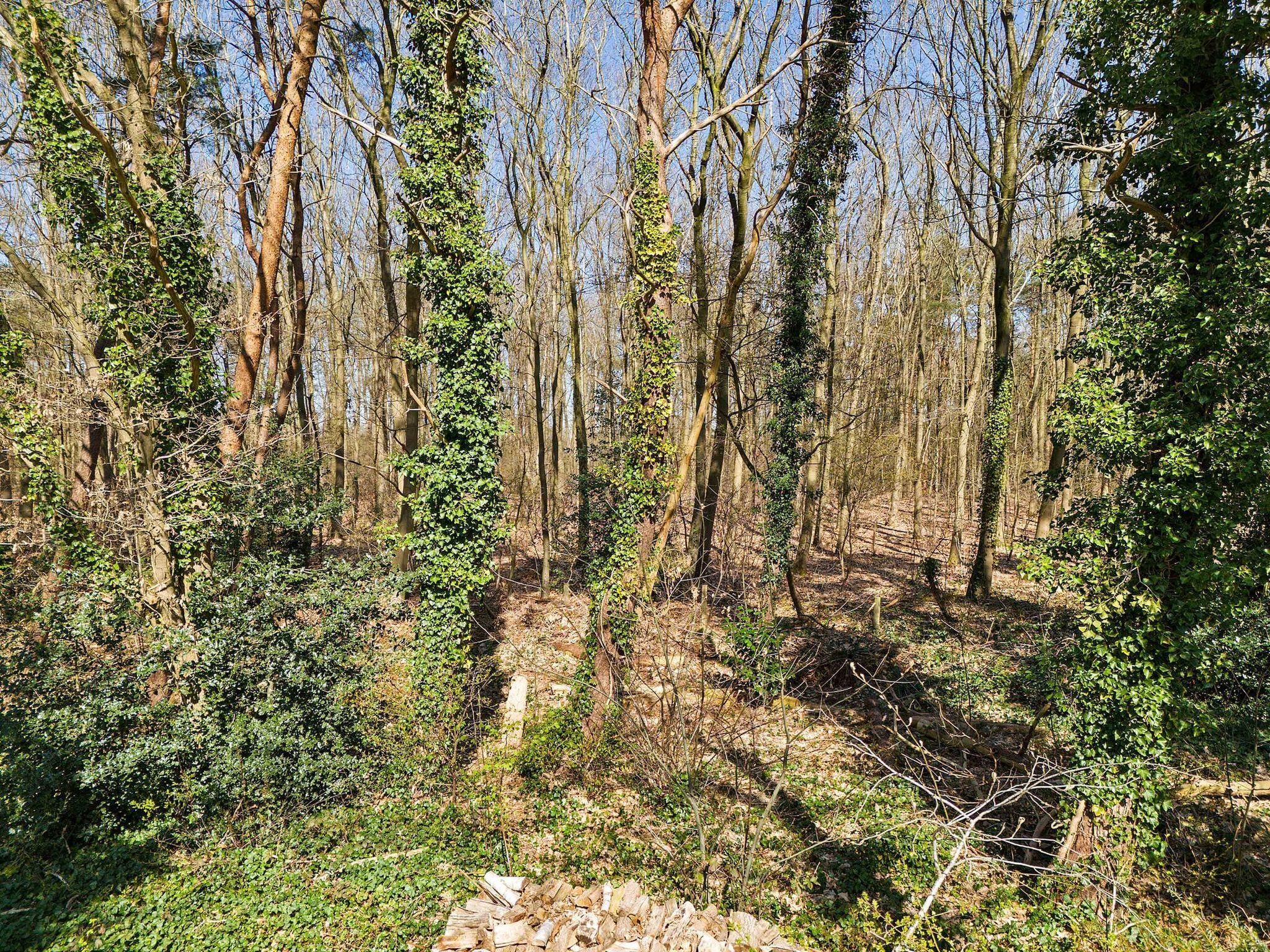 Ermerzand Retreat in Erm - Foto 30 van 30