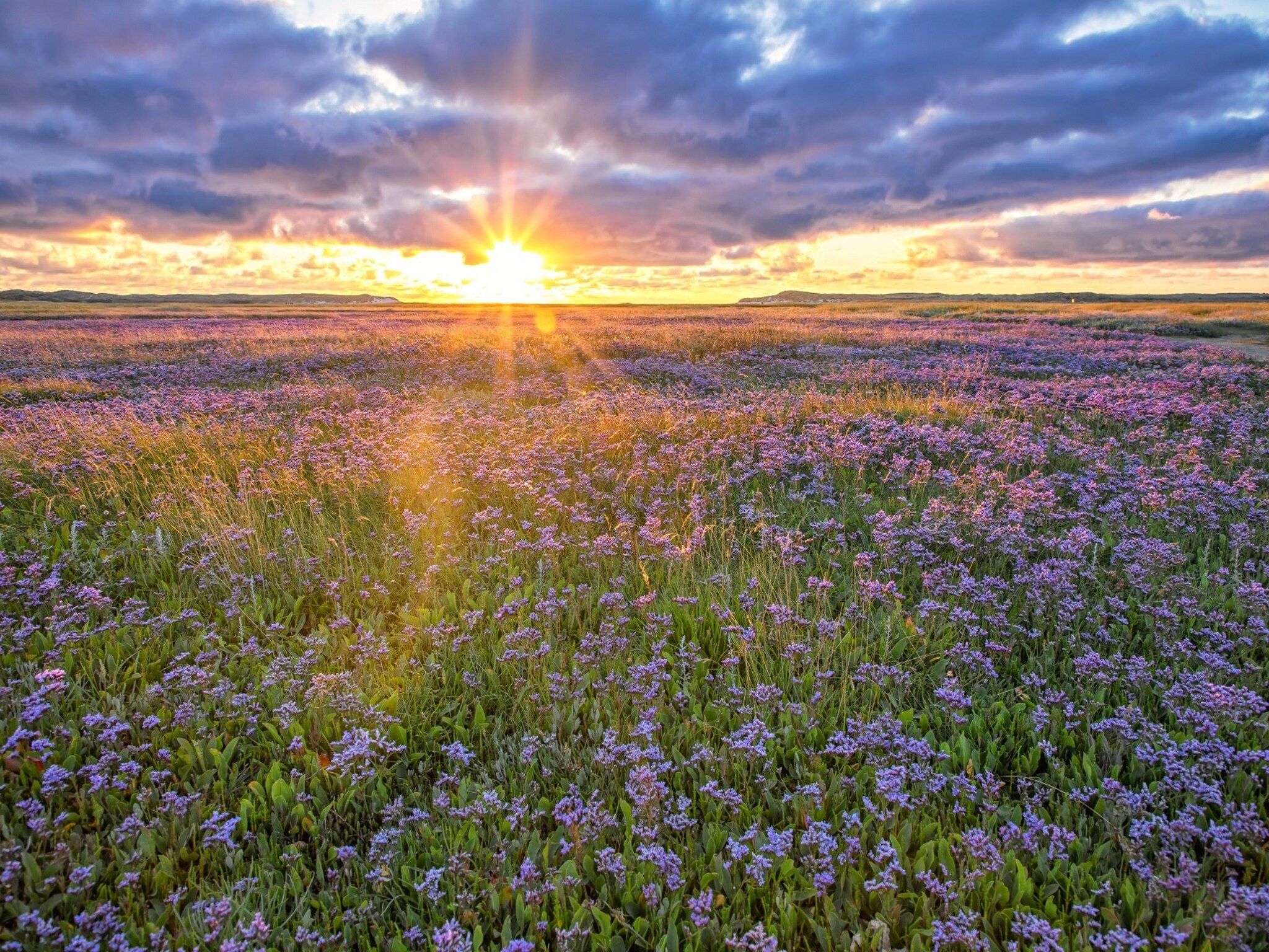 Bungalow 309 in De Koog - Foto 20 van 20