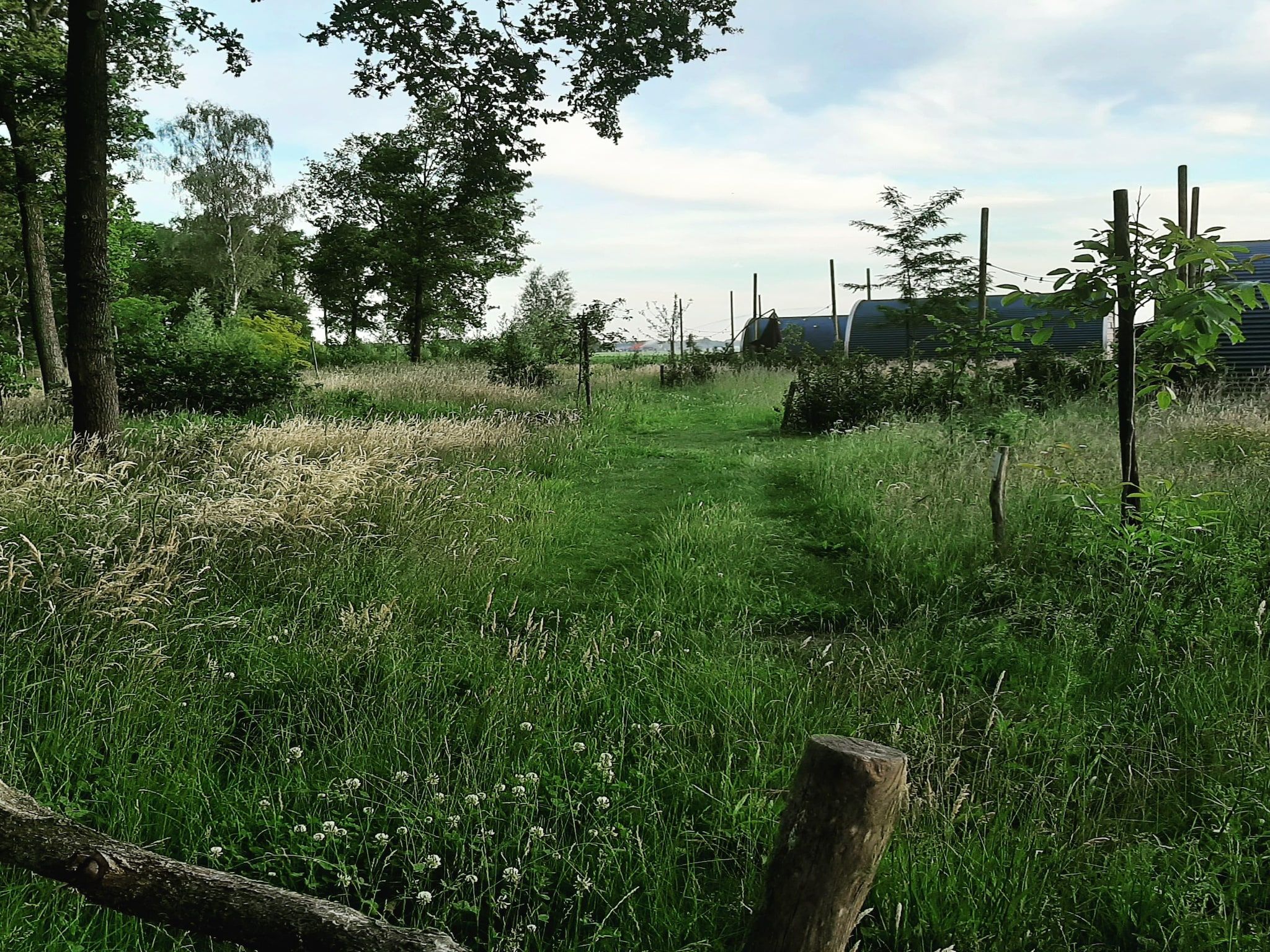 De Ree en de Specht in Oirschot - Foto 13 van 26