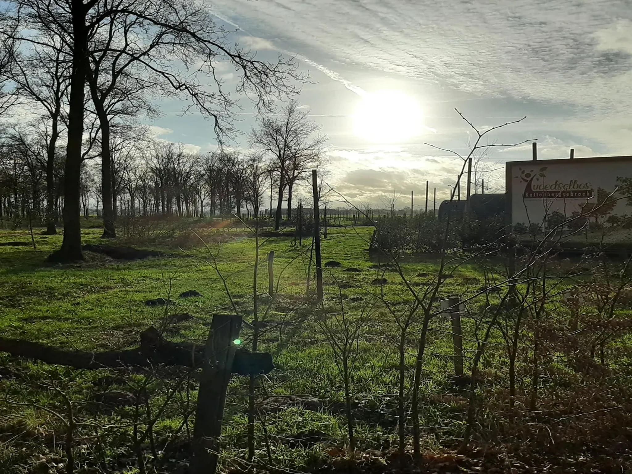 De Ree en de Specht in Oirschot - Foto 19 van 26