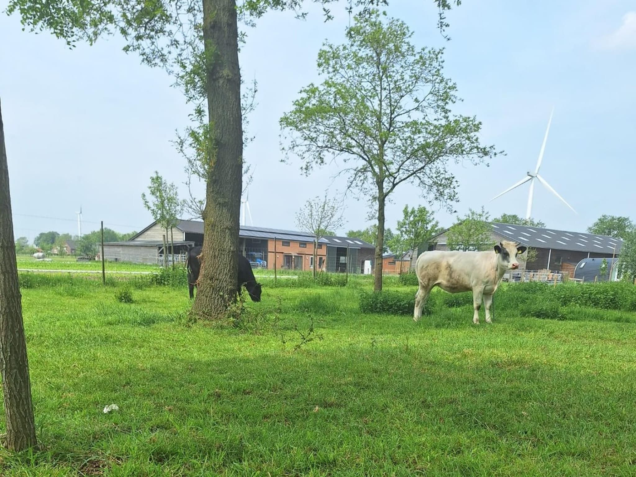 De tuin van De Kievit in Oirschot