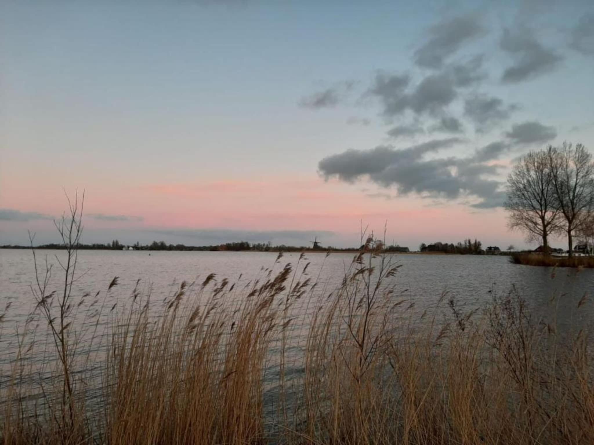 De omgeving van Chaletwoning in Sint Nicolaasga