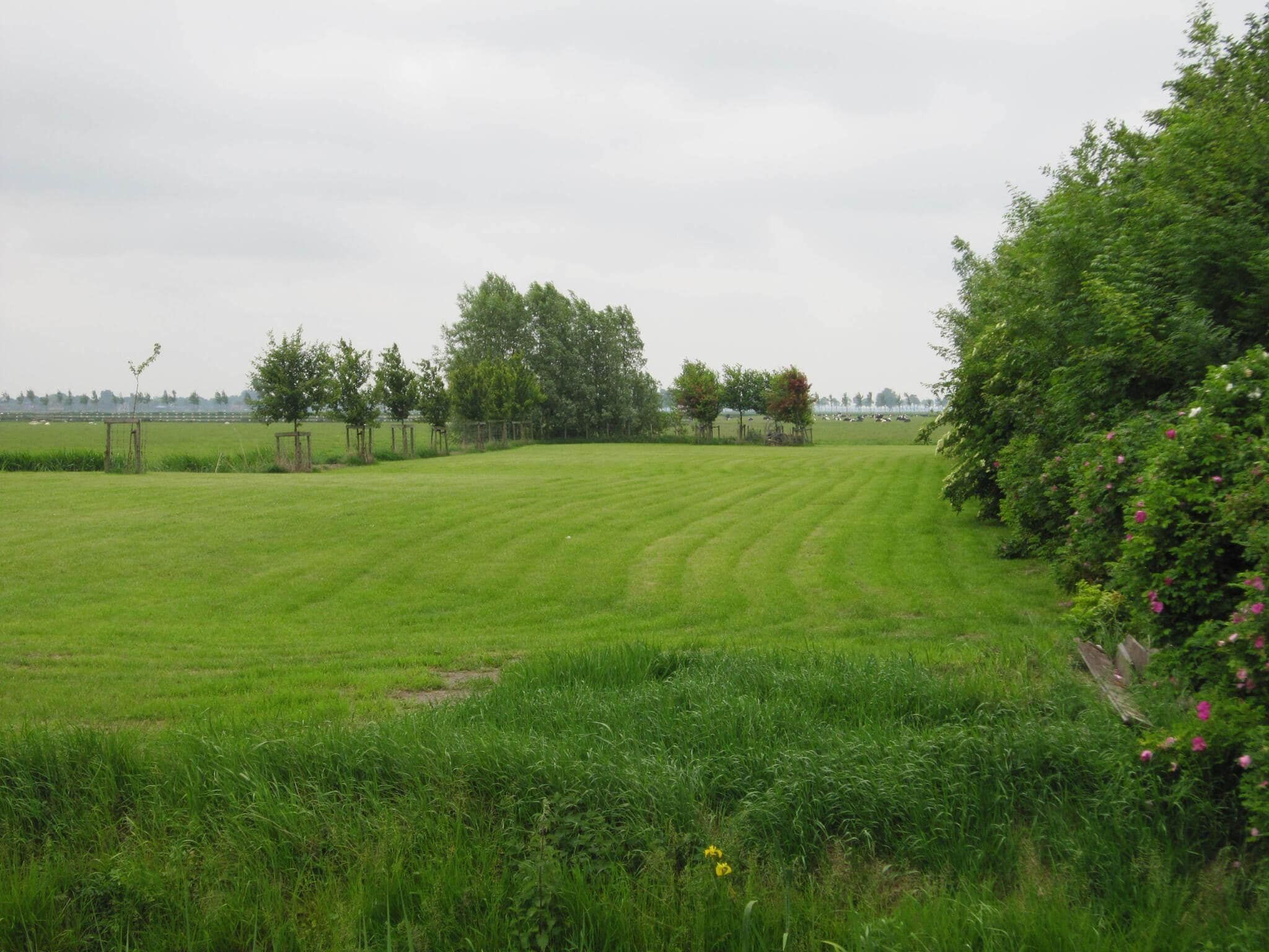 BELLEVUE in Noordbeemster - Foto 30 van 39