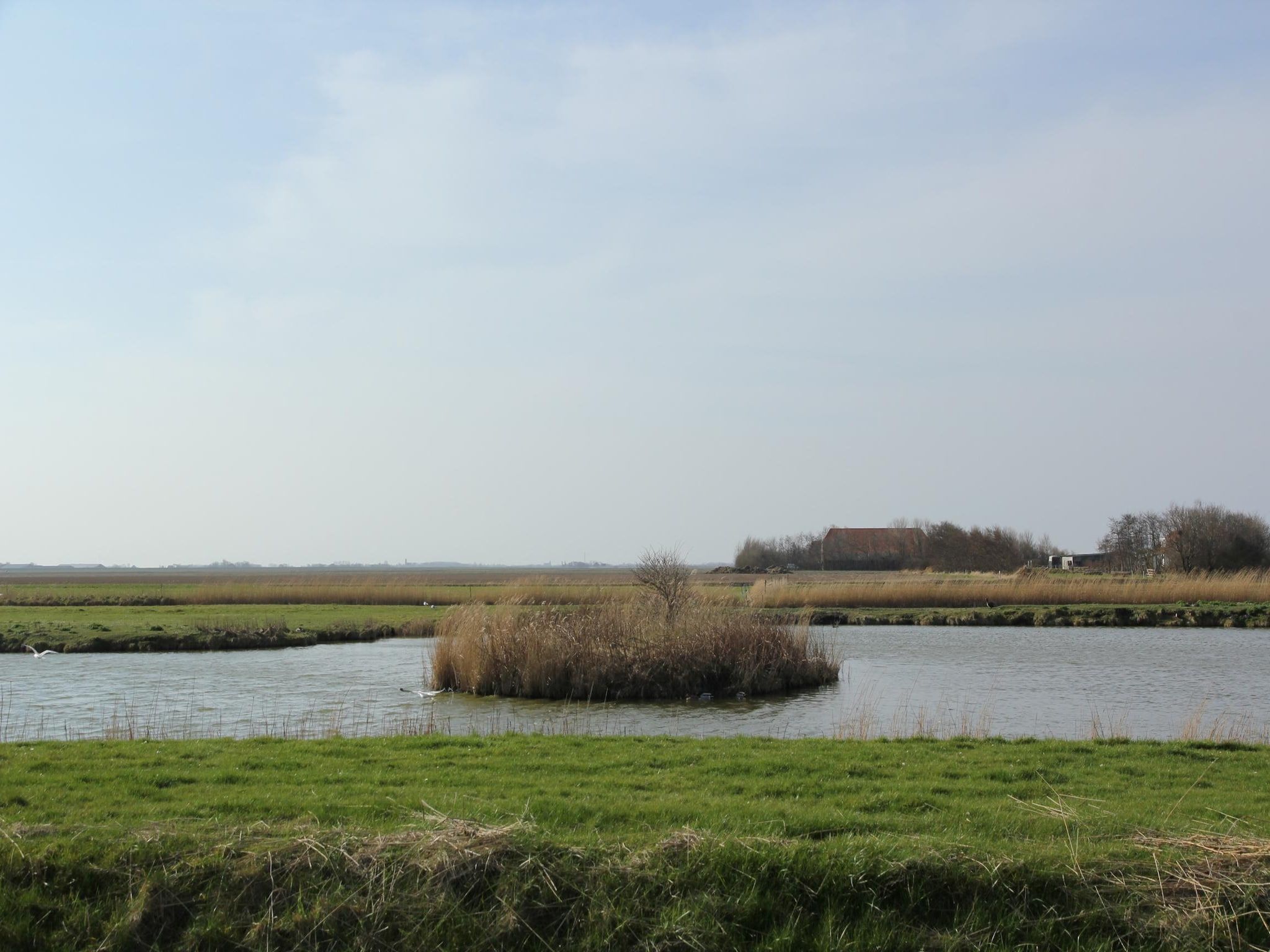 De omgeving van De Witte Parel in Den Burg