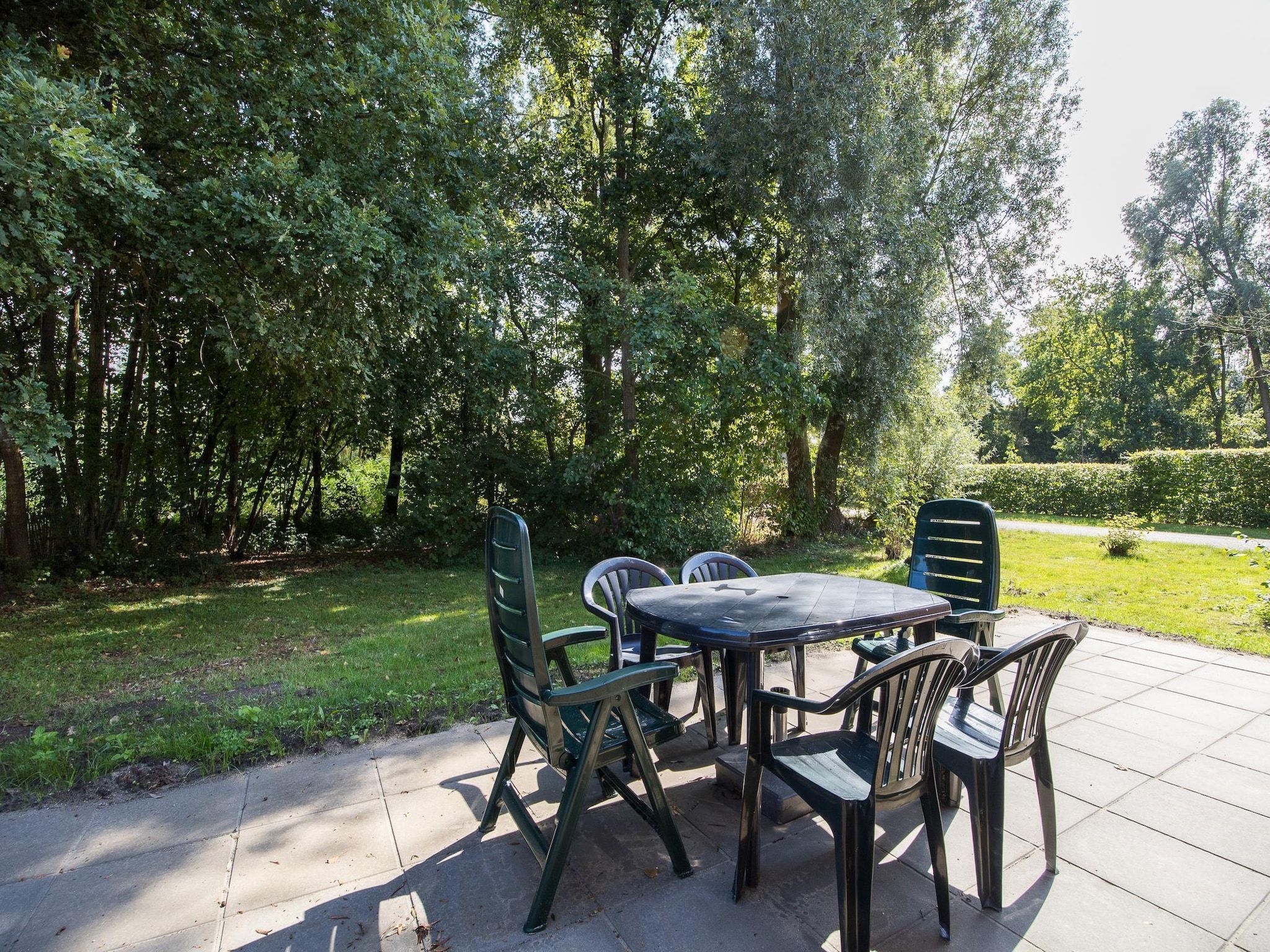 Het terras van 7 - Persoons Forest 217 Sauna Bungalow (copy) in Ewijk
