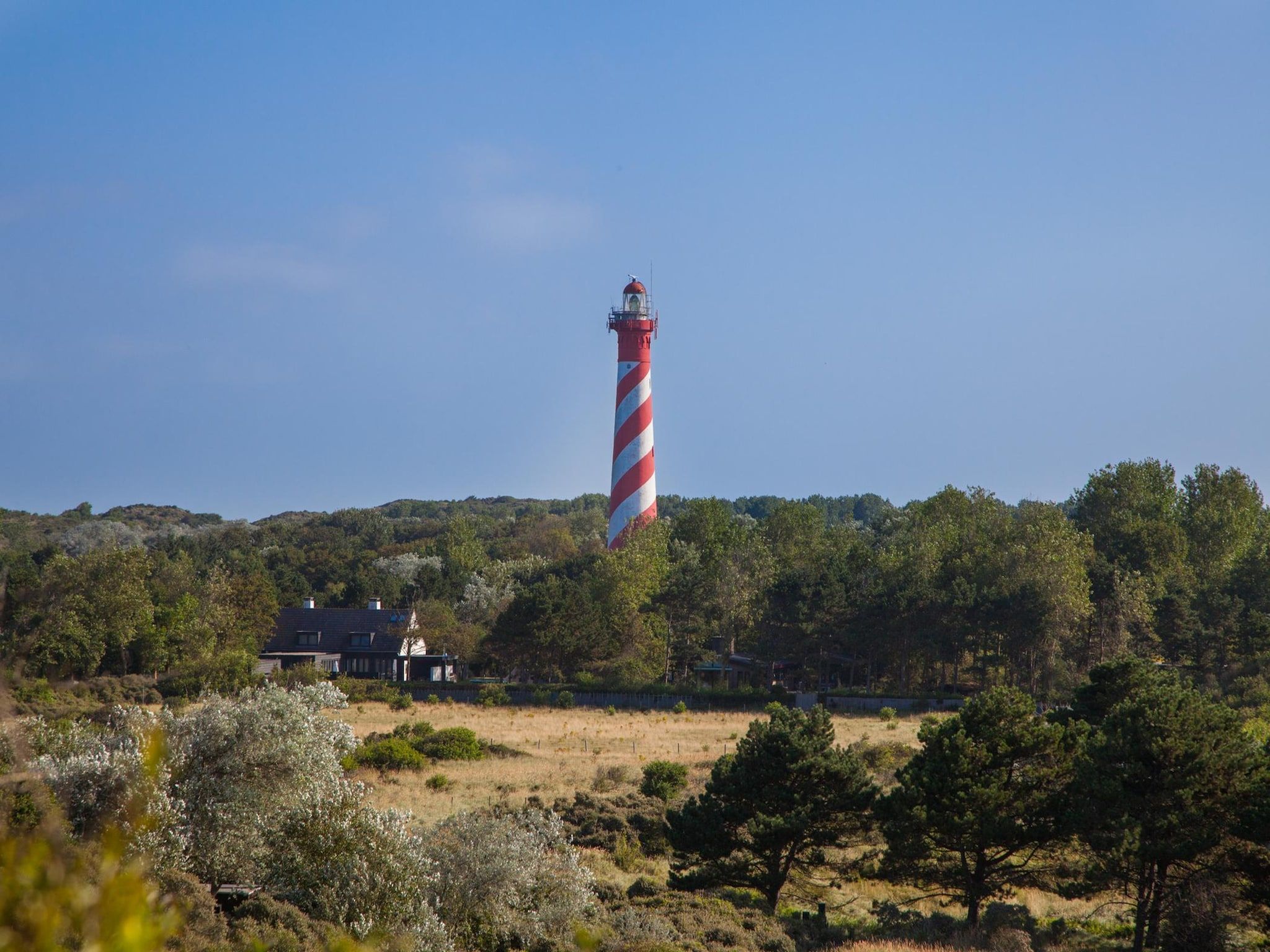 De omgeving van Duinhoeve chalet Schelp in Burgh-Haamstede