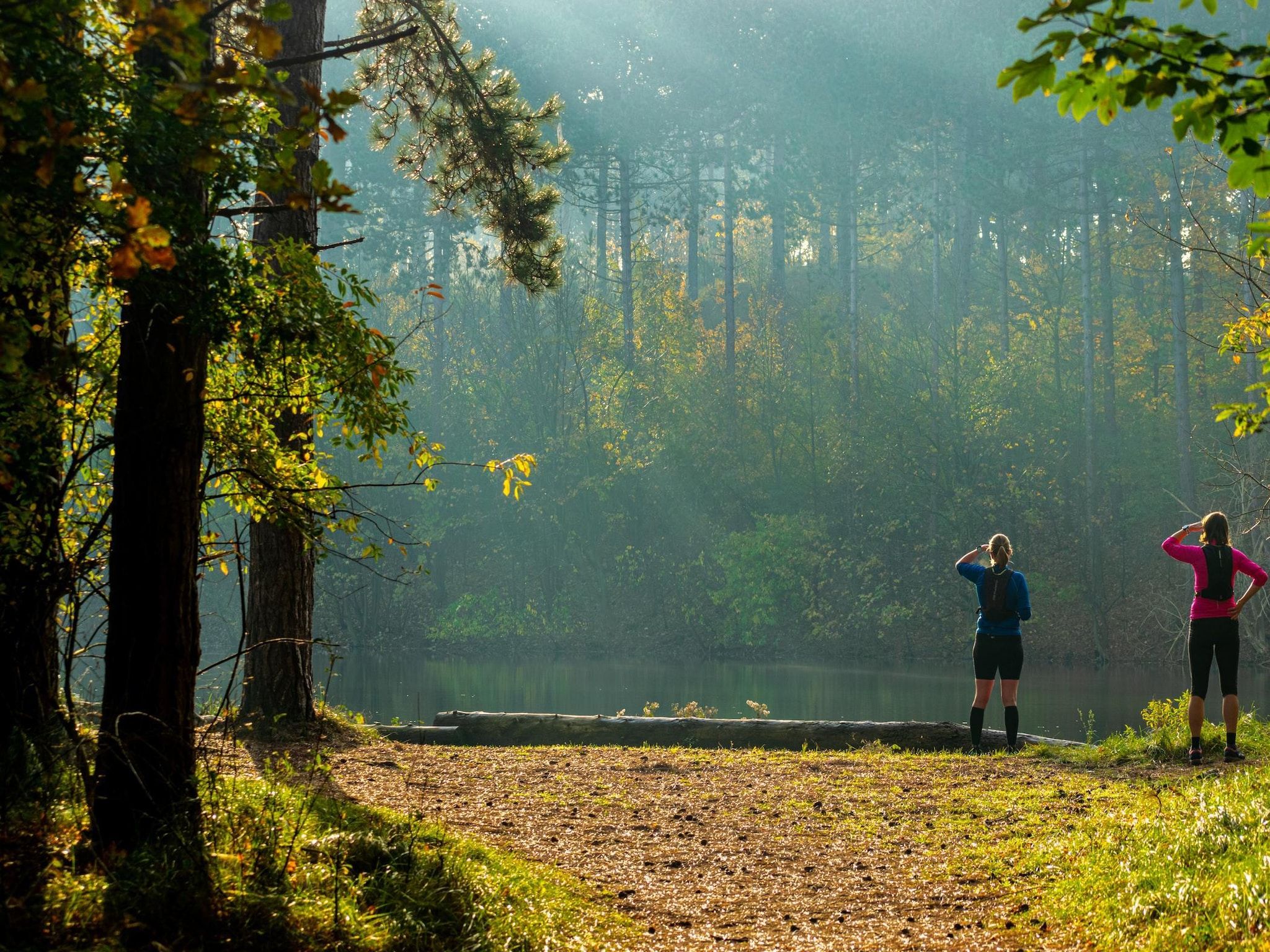 De omgeving van Duinhoeve Chalet Zeeland (huisdier toegestaan) in Burgh-Haamstede