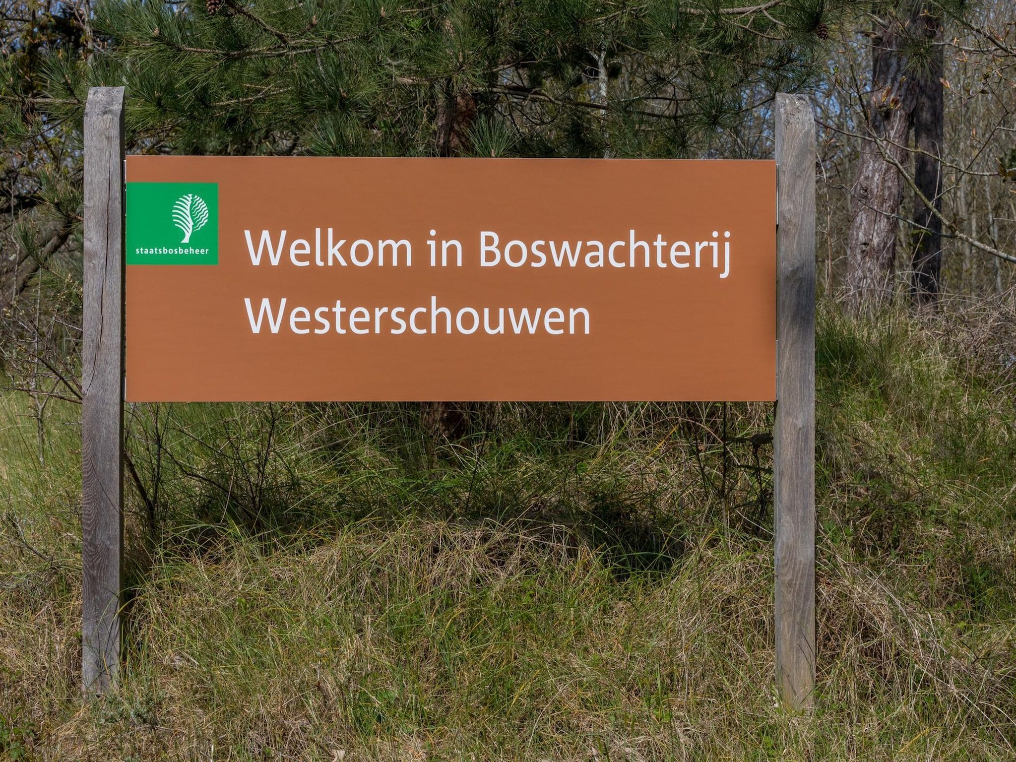 Sfeerbeeld van Duinhoeve Chalet Zeeland (huisdier toegestaan) in Burgh-Haamstede