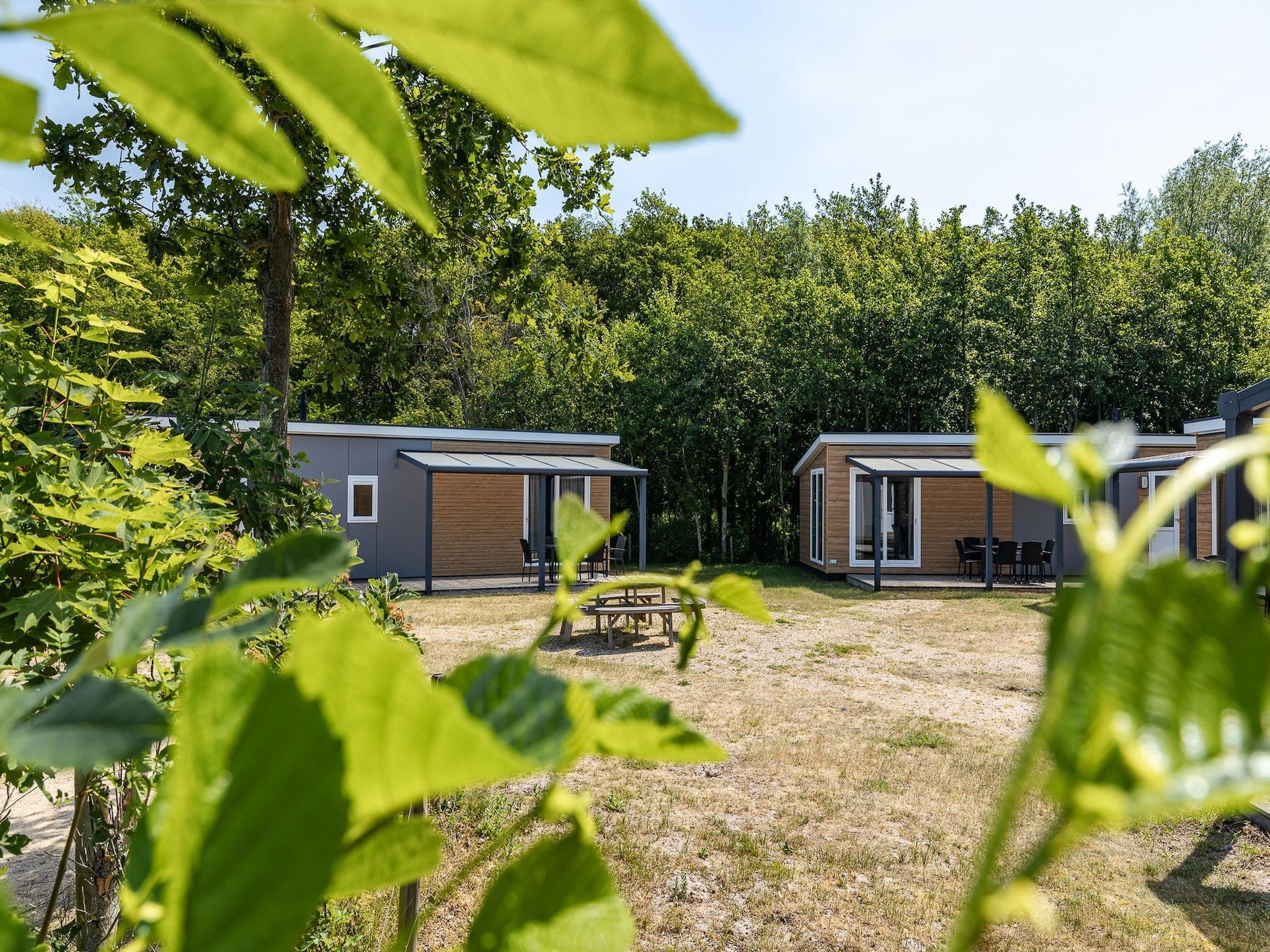 Duinhoeve Chalet Zeeland (huisdier toegestaan) in Burgh-Haamstede - Foto 36 van 39