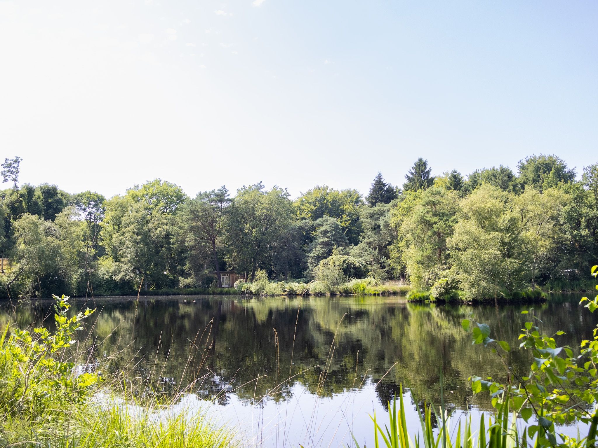 Huis in de Bossen in Een - Foto 23 van 24