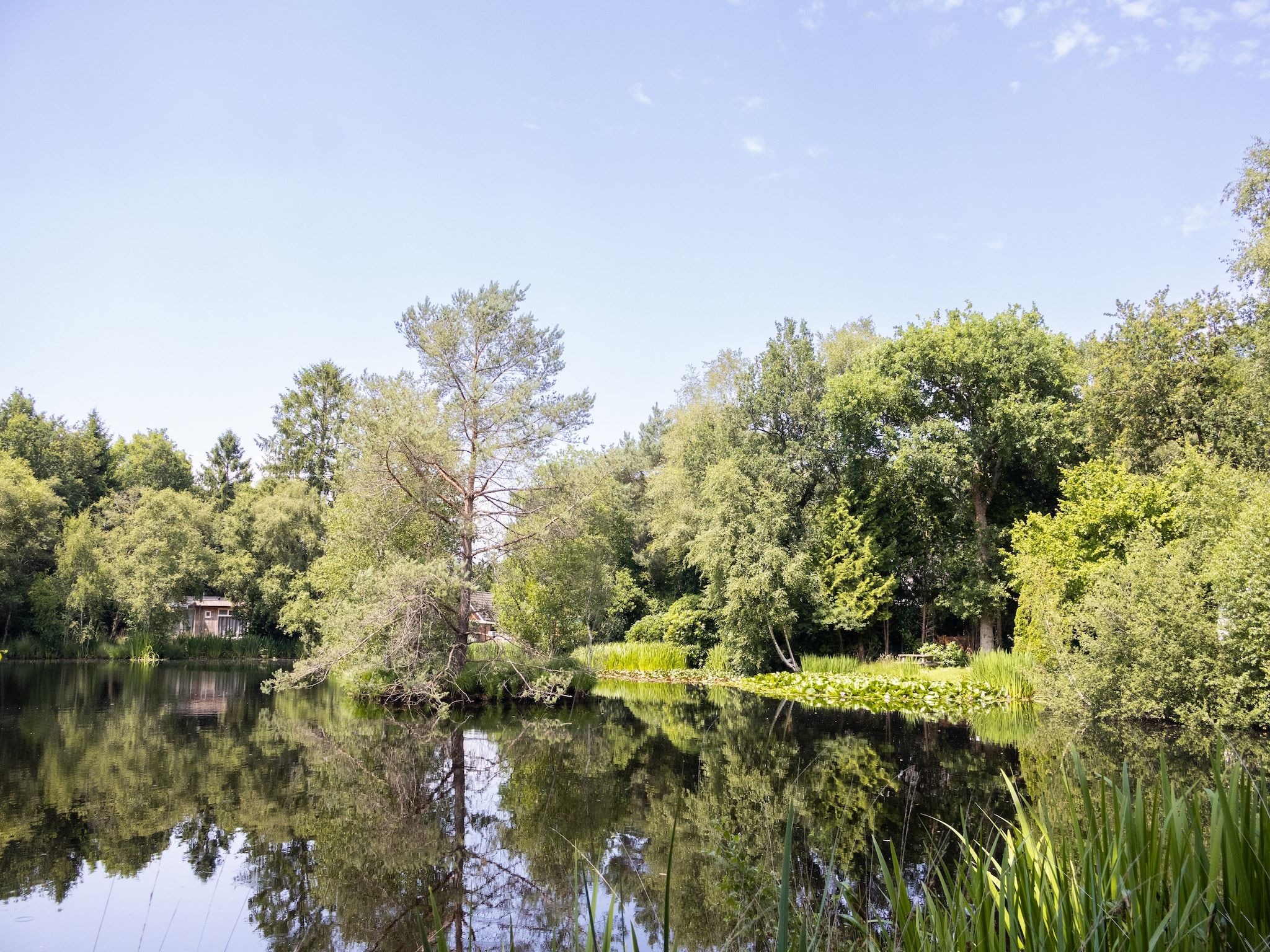 Huis in de Bossen in Een - Foto 24 van 24