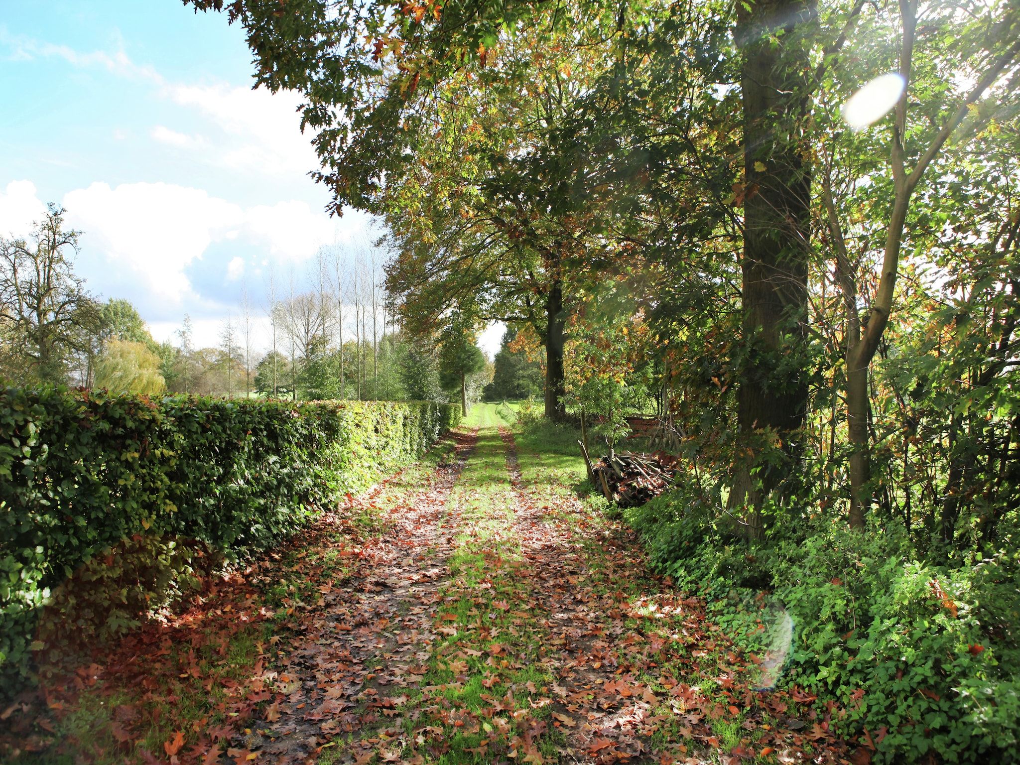 Klein Paarlo in Sint Odilienberg - Foto 34 van 40