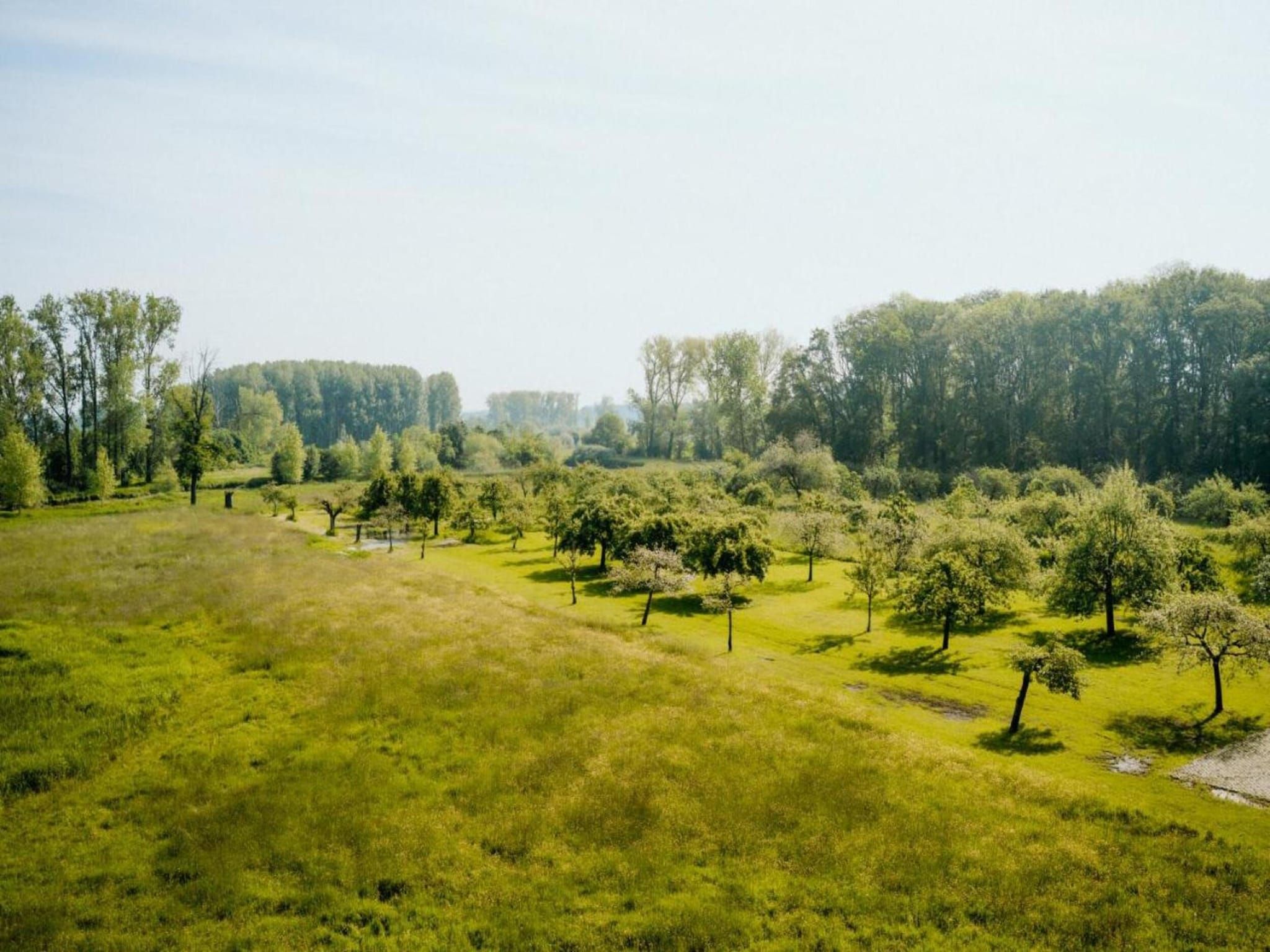 Klein Paarlo in Sint Odilienberg - Foto 38 van 40