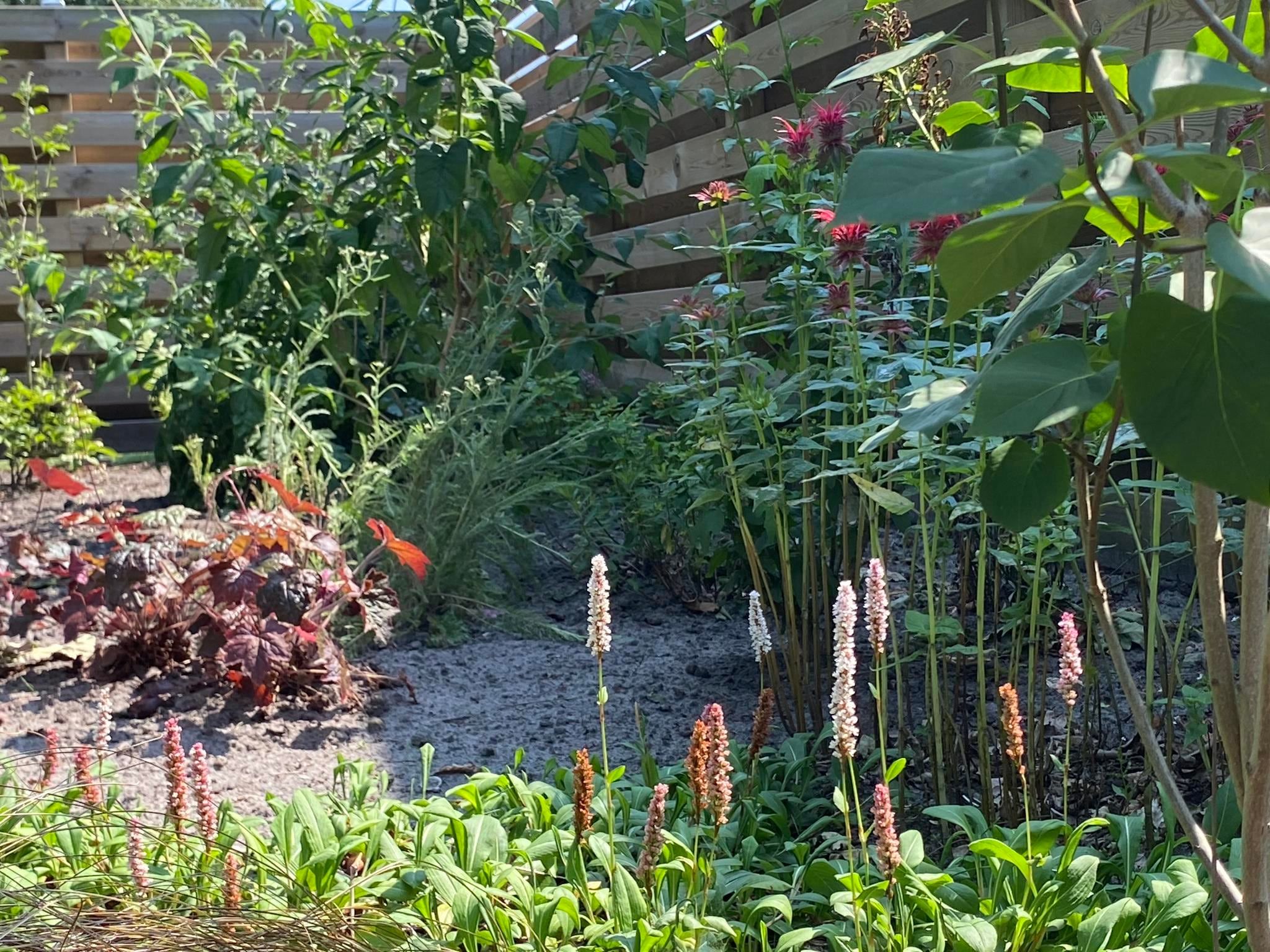 De tuin van De Groninger Zeeuw in Bellingwolde
