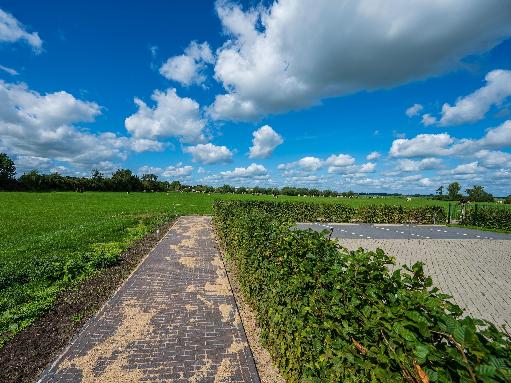 De tuin van The New Barn in Montfoort