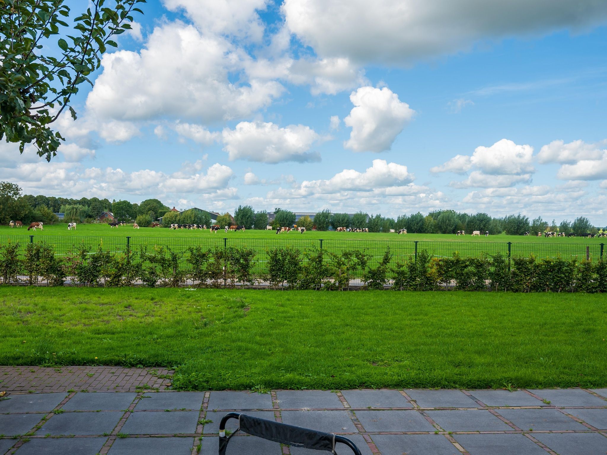 De tuin van The New Barn in Montfoort