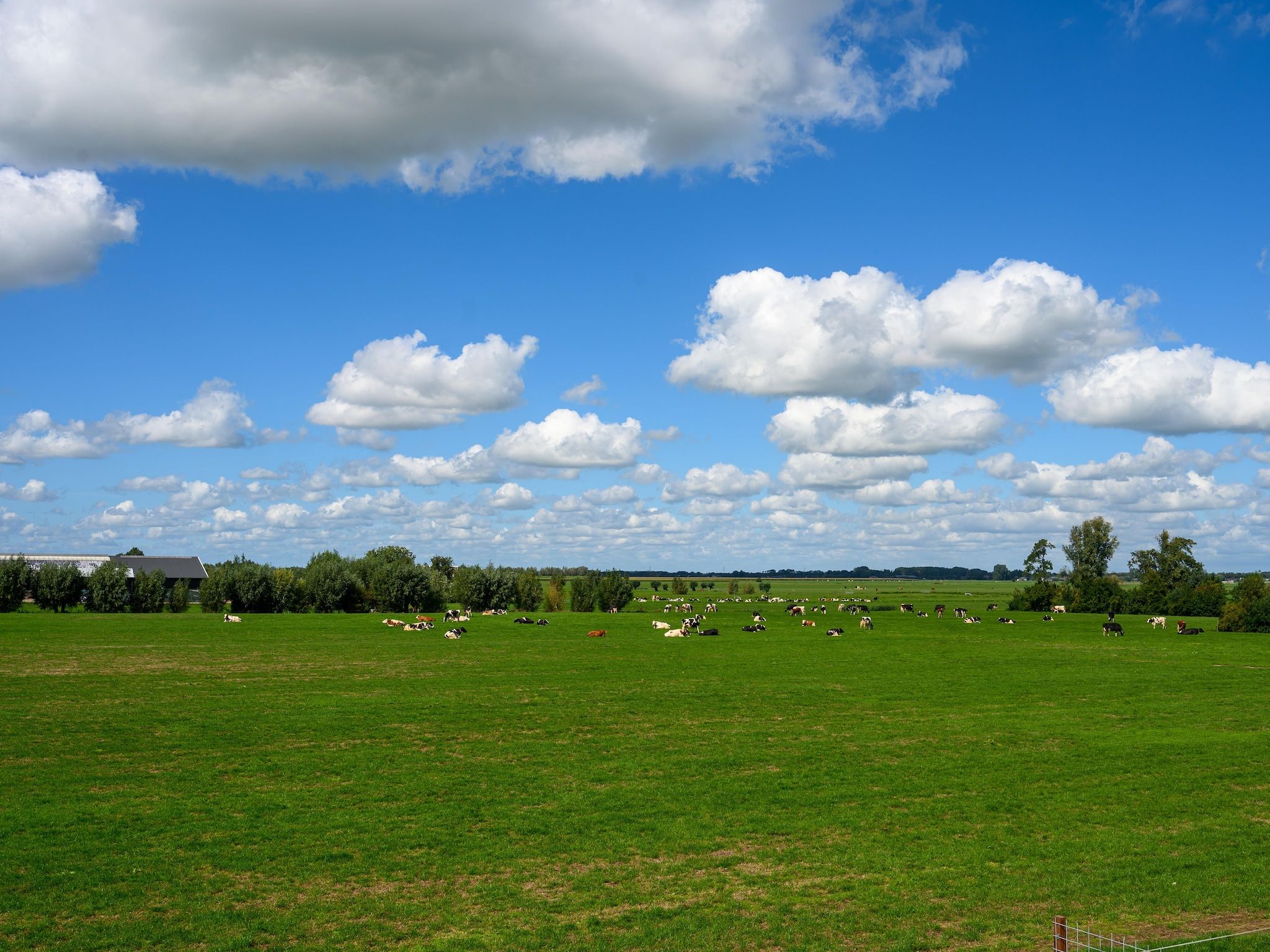 De tuin van The New Barn in Montfoort