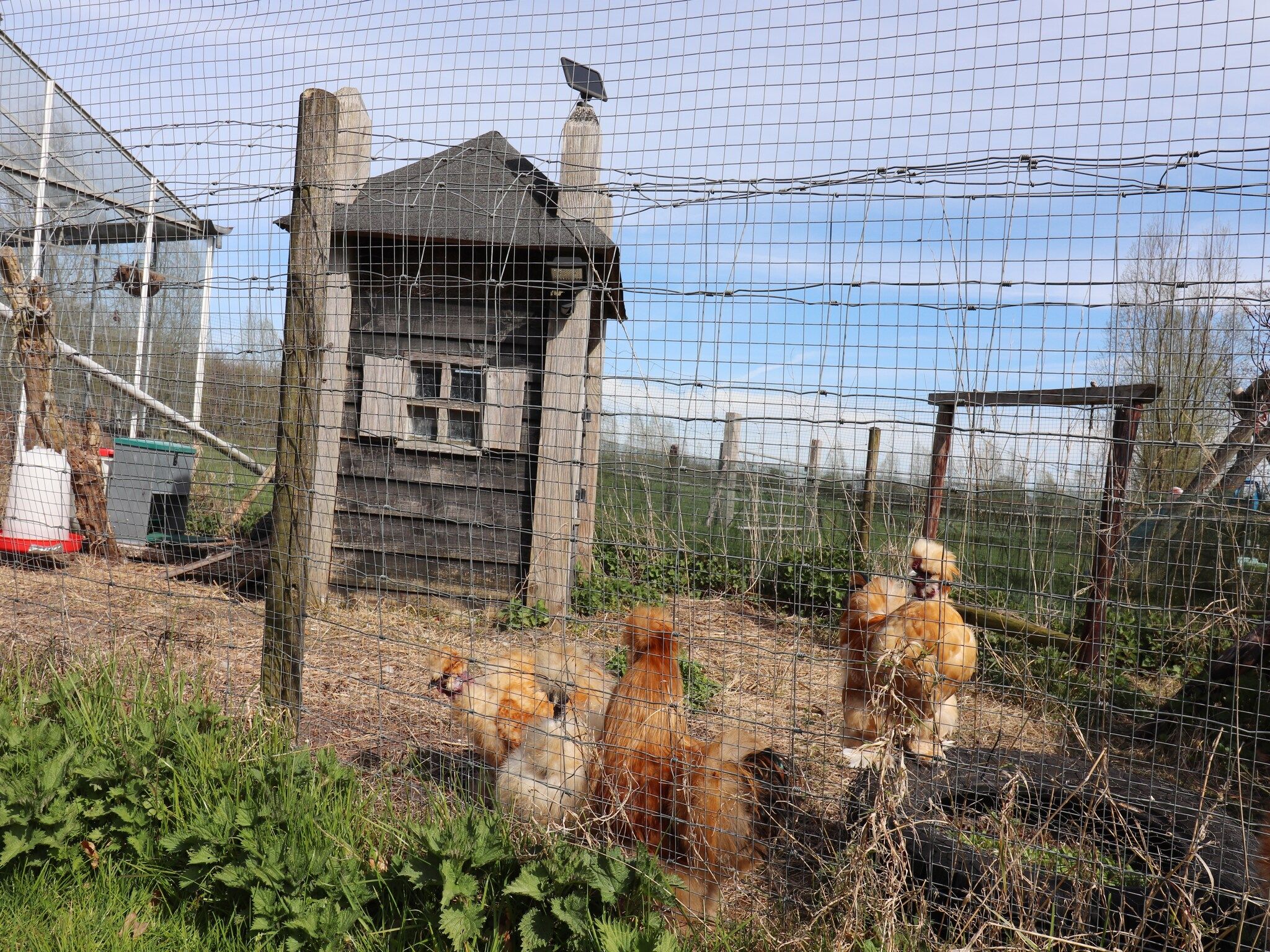 De tuin van Buitenvreugde in Drachten