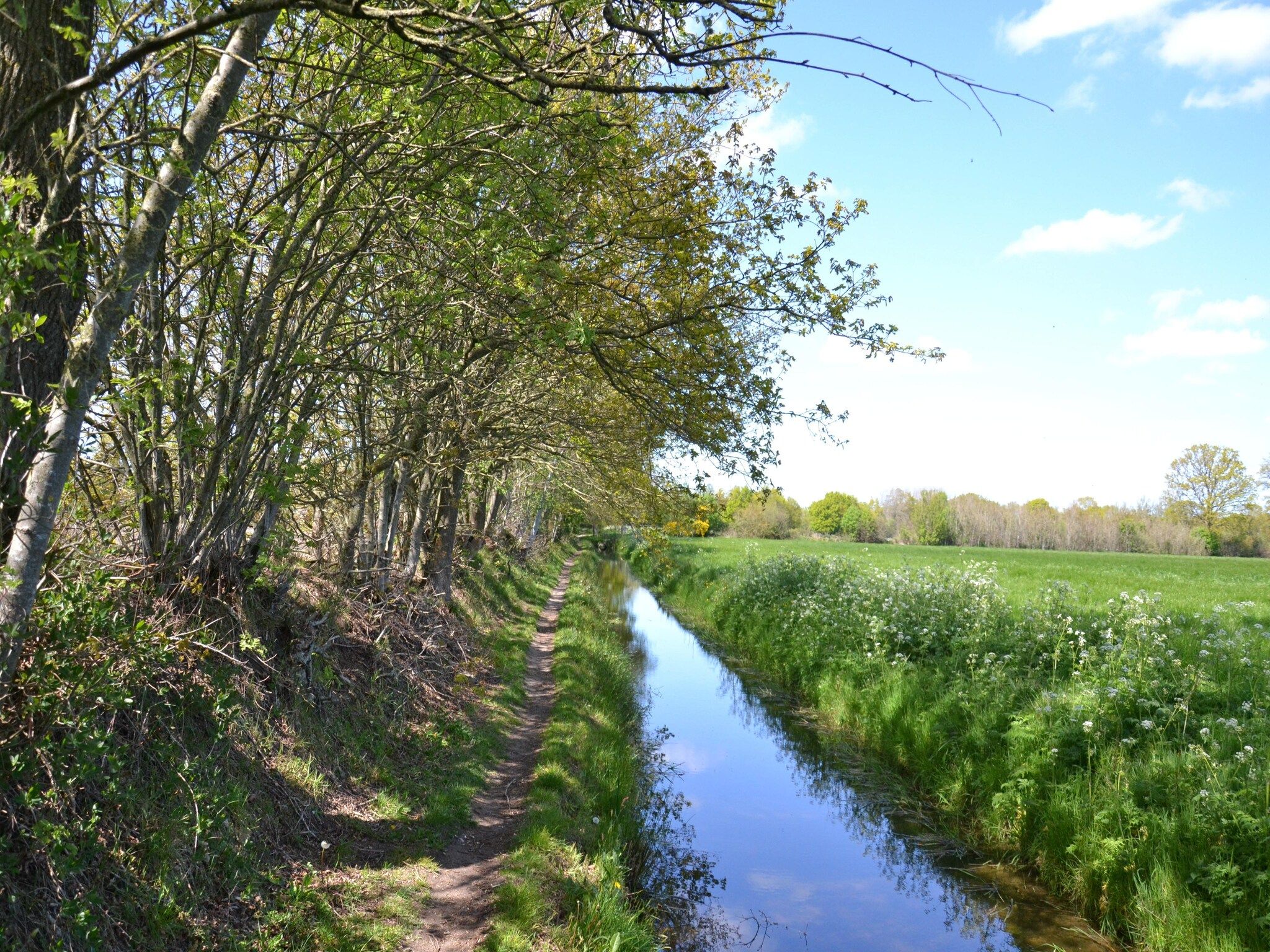 De omgeving van Buitenvreugde in Drachten