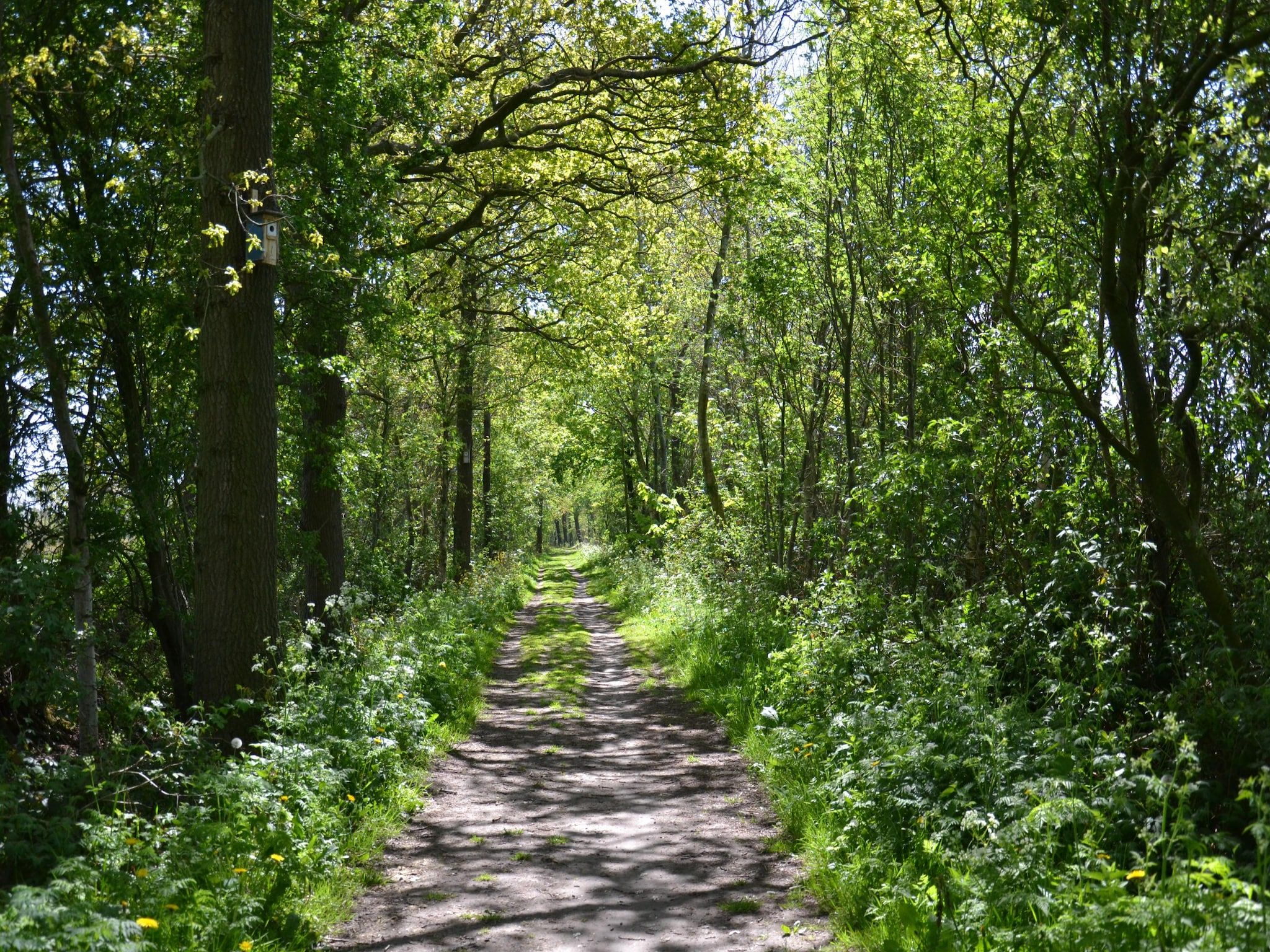 De omgeving van Buitenvreugde in Drachten