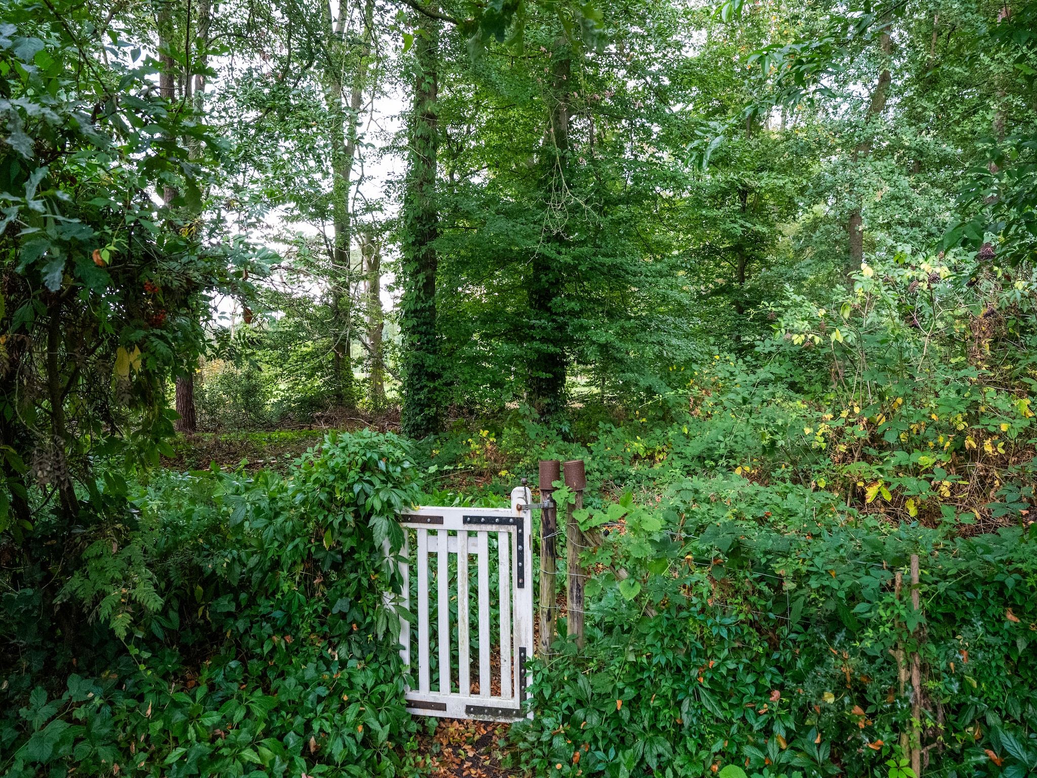 De tuin van De Hagmolenbeek Boekelo in Boekelo