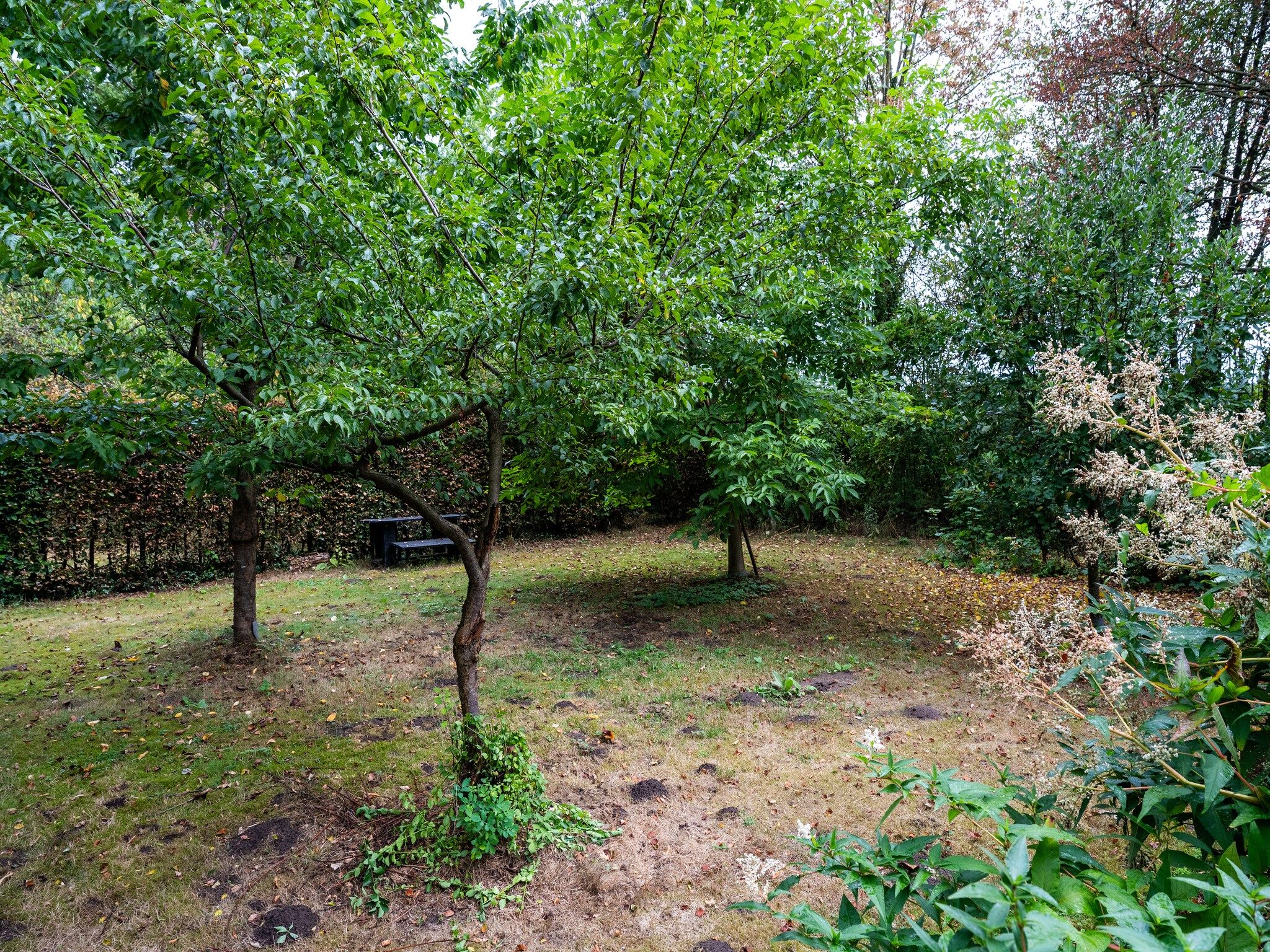 De tuin van De Hagmolenbeek Boekelo in Boekelo