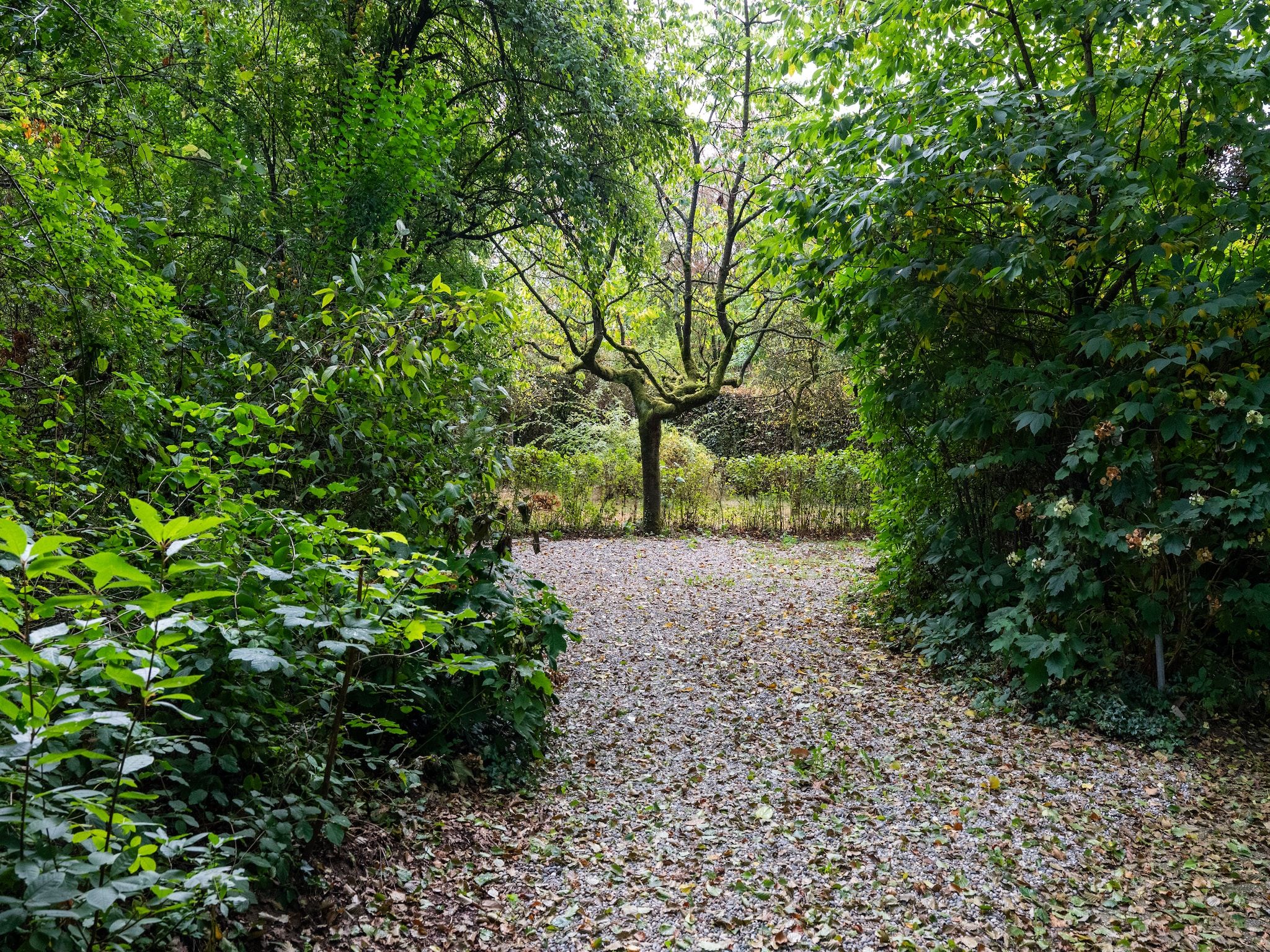 De tuin van De Hagmolenbeek Boekelo in Boekelo