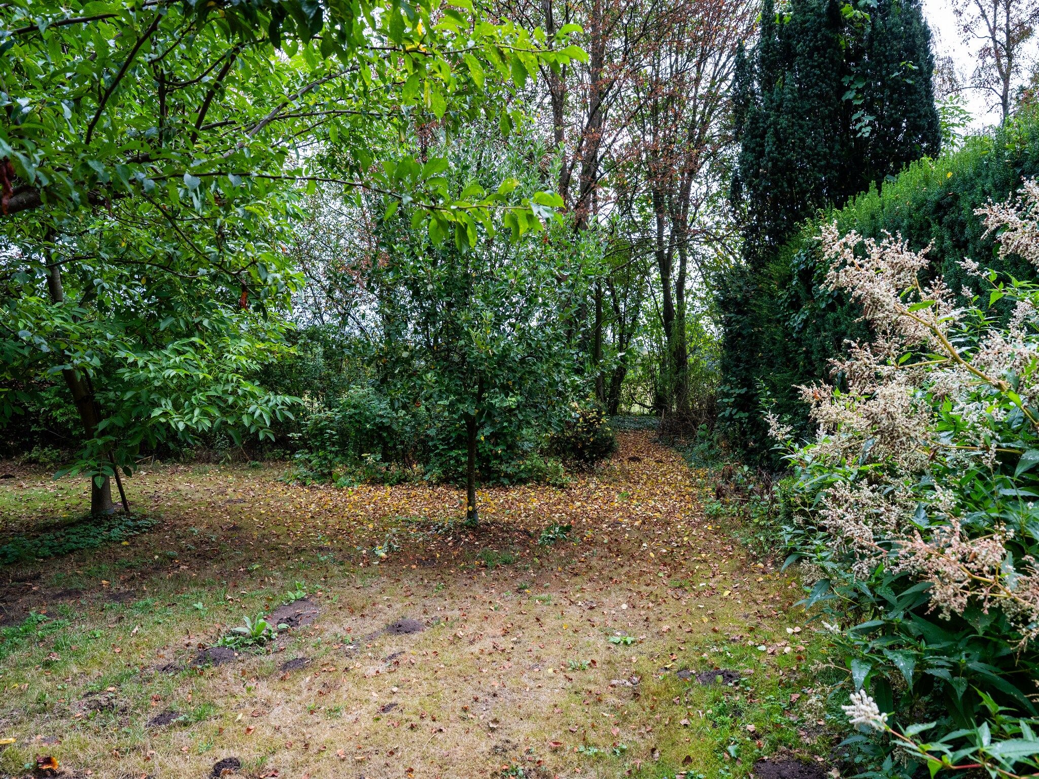 De tuin van De Hagmolenbeek Boekelo in Boekelo