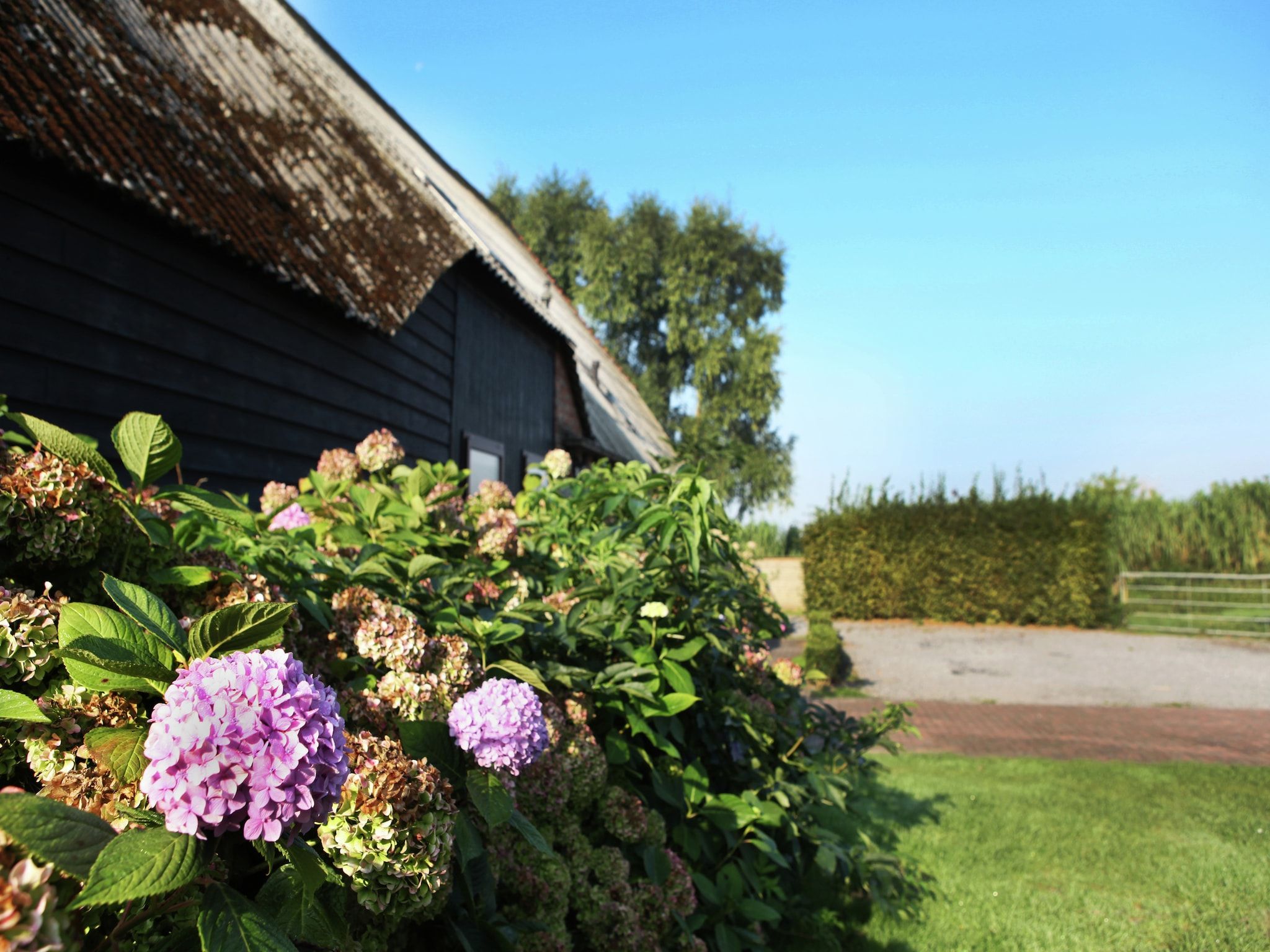 Sfeerbeeld van Appartement De Dorsvloer in Eede