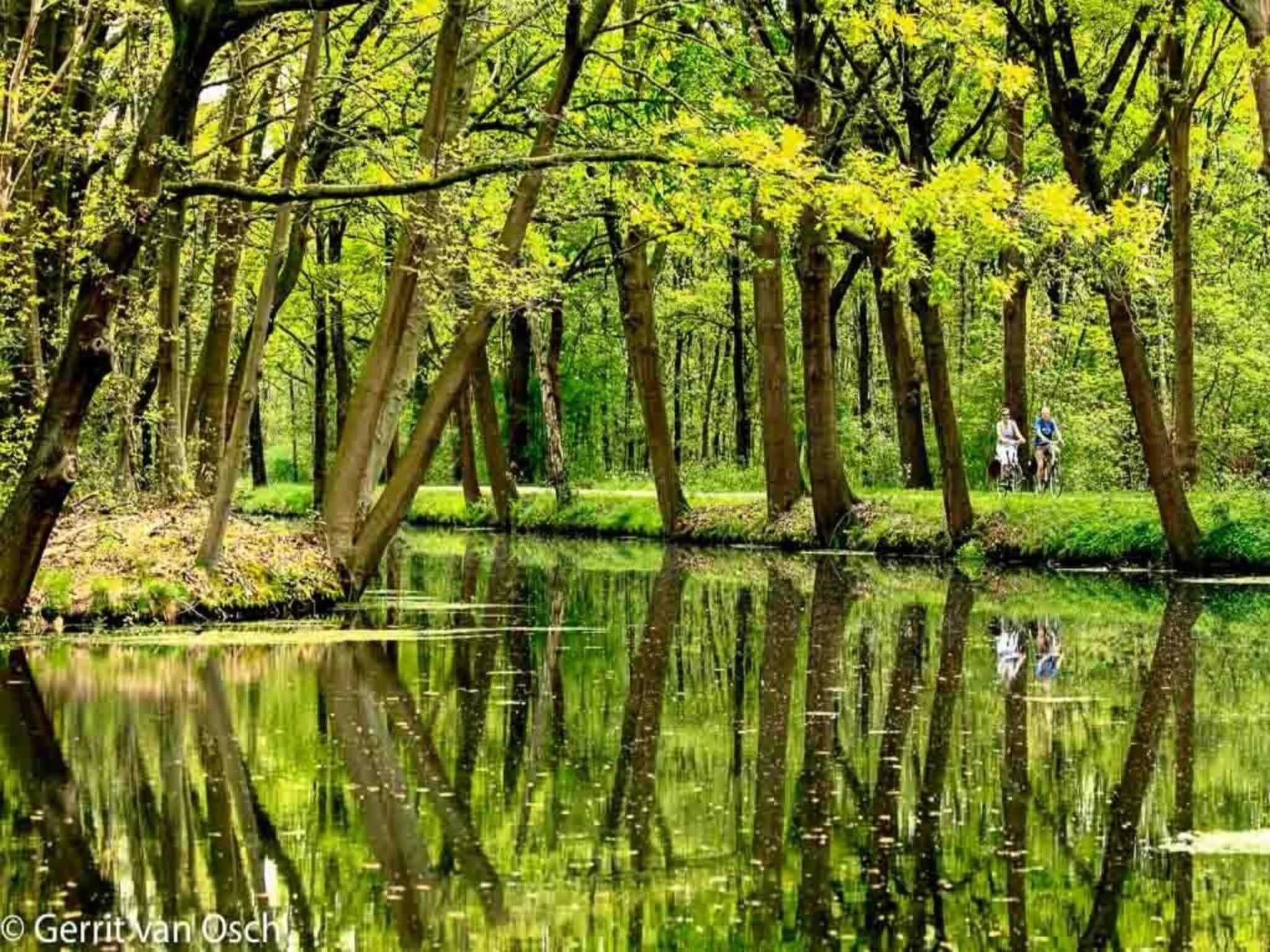 Le Petit Miracle in Well - Foto 29 van 40