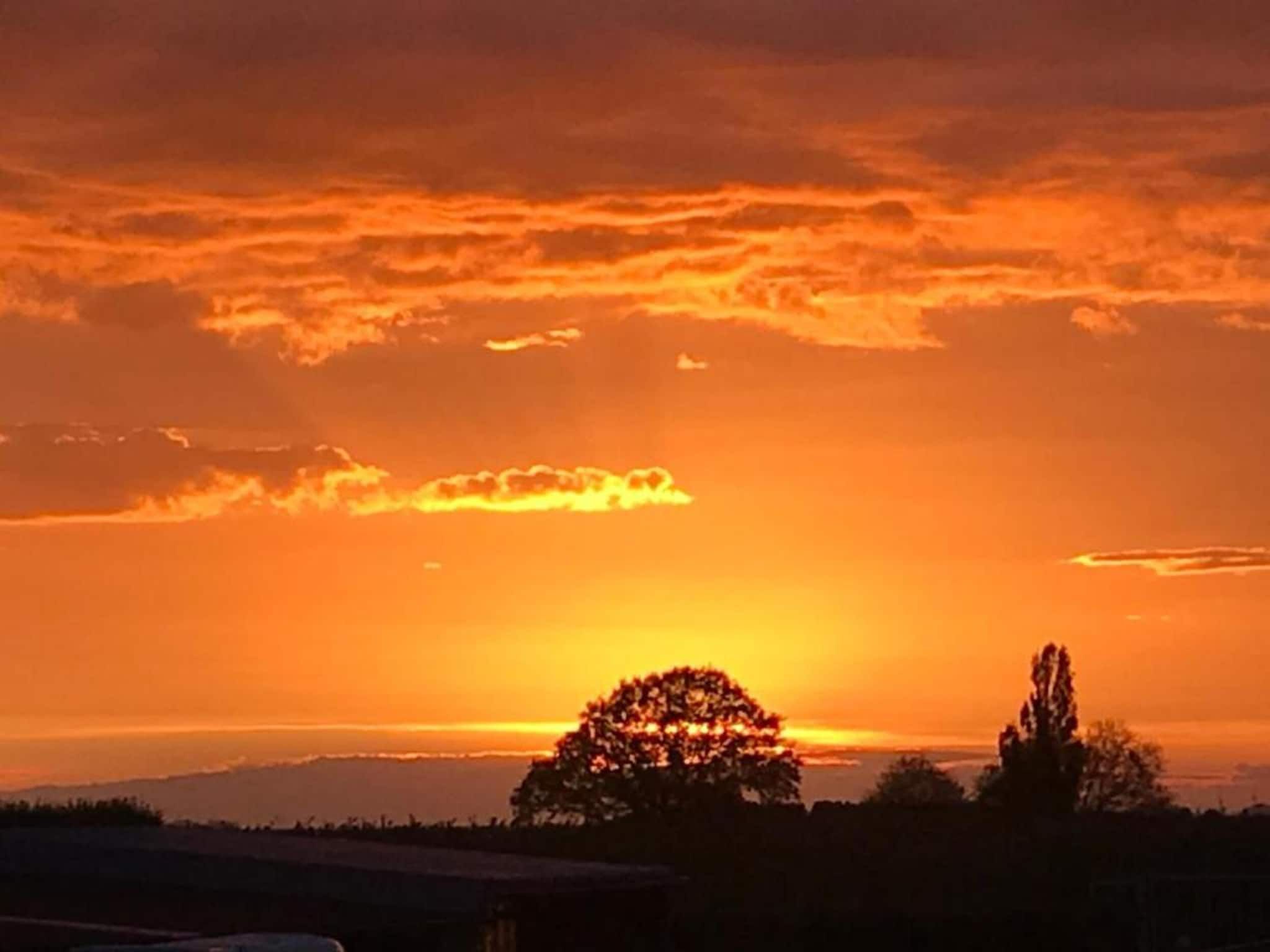 Le Petit Miracle in Well - Foto 35 van 40