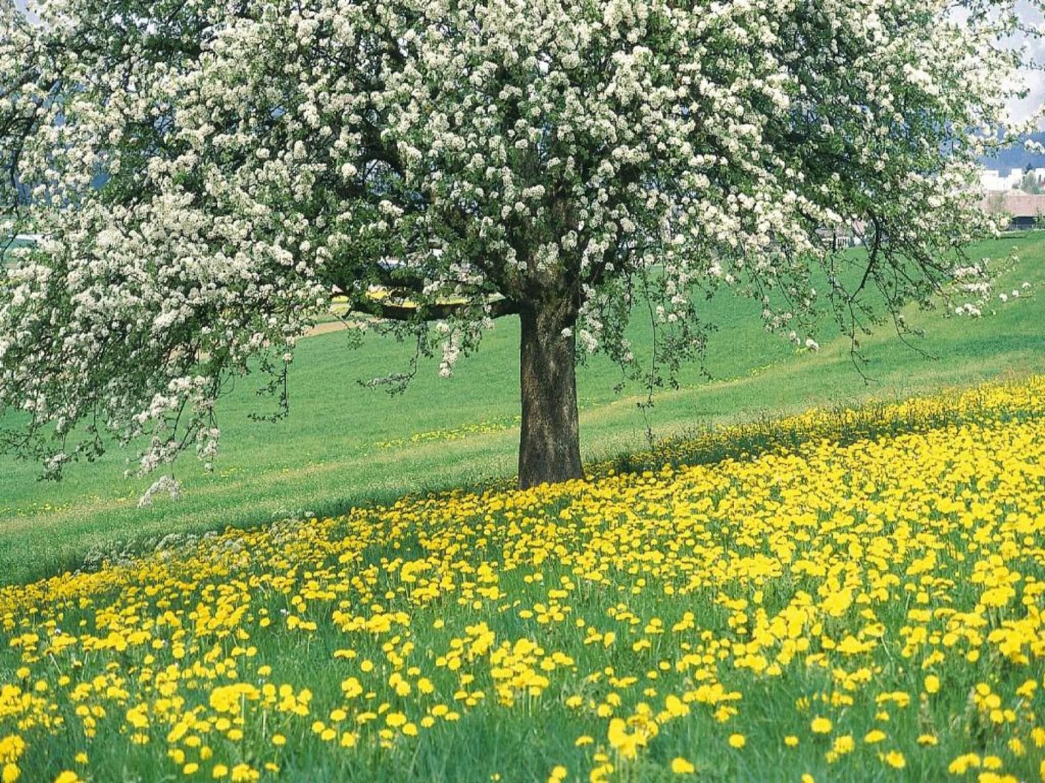 Le Petit Miracle in Well - Foto 37 van 40