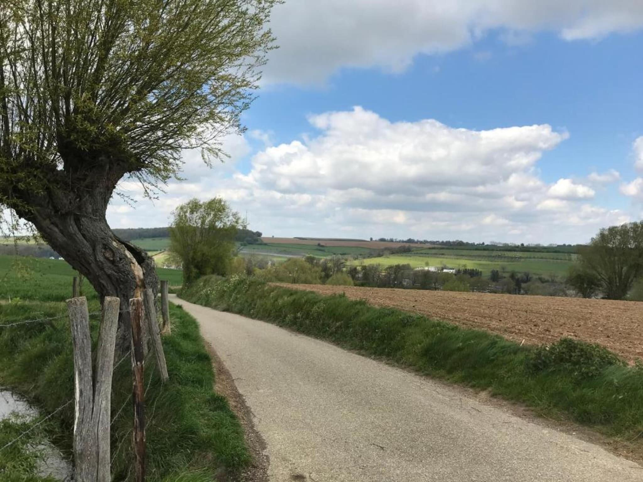 Le Petit Miracle in Well - Foto 39 van 40