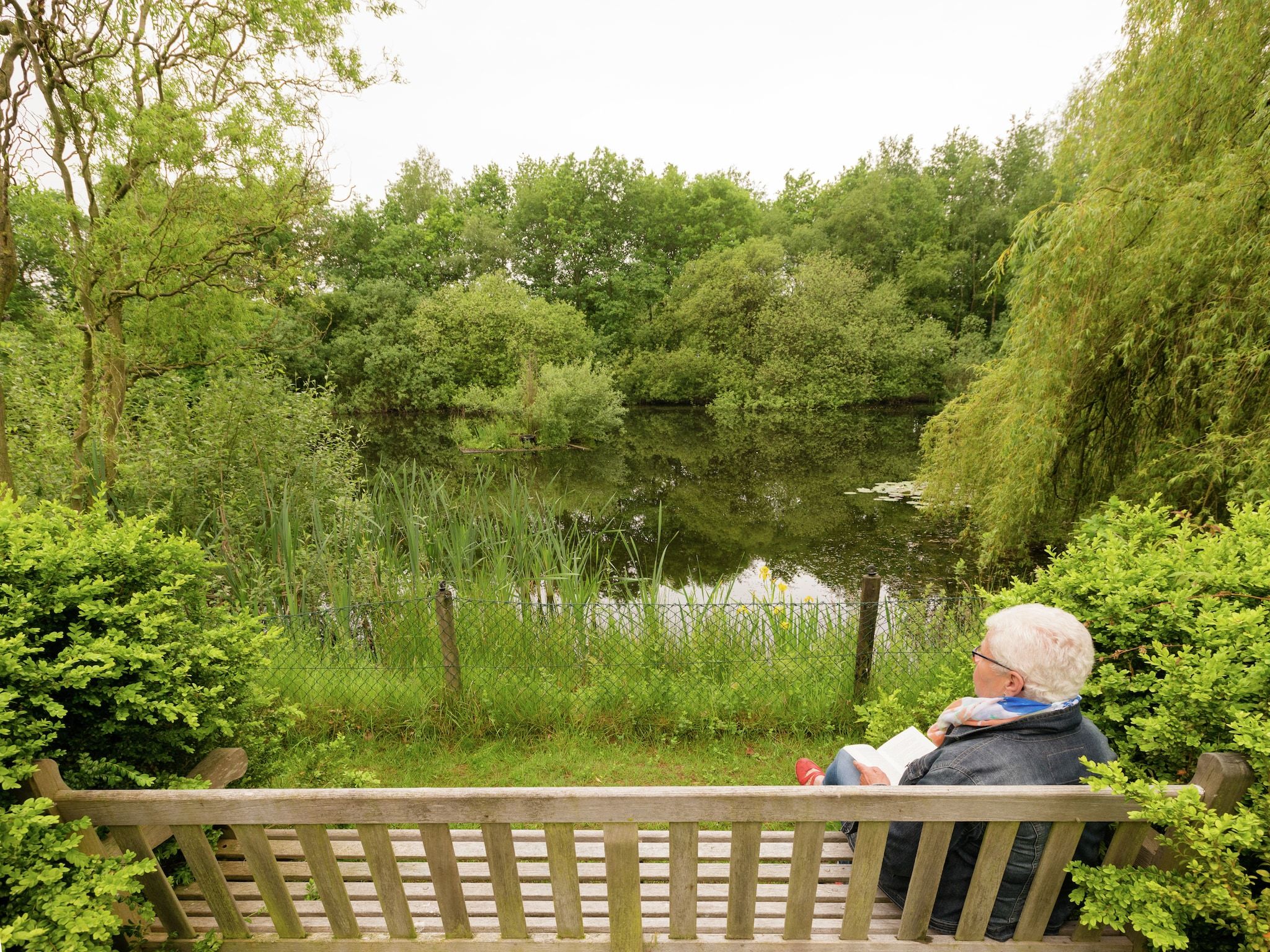 De tuin van De Eekhorst in Balkbrug