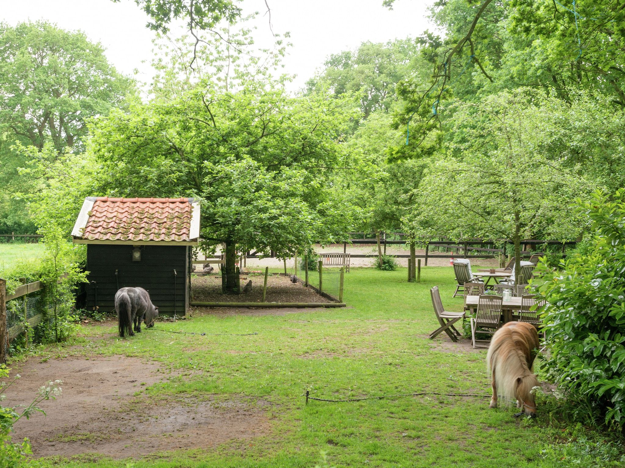 Het uitzicht vanaf De Eekhorst in Balkbrug