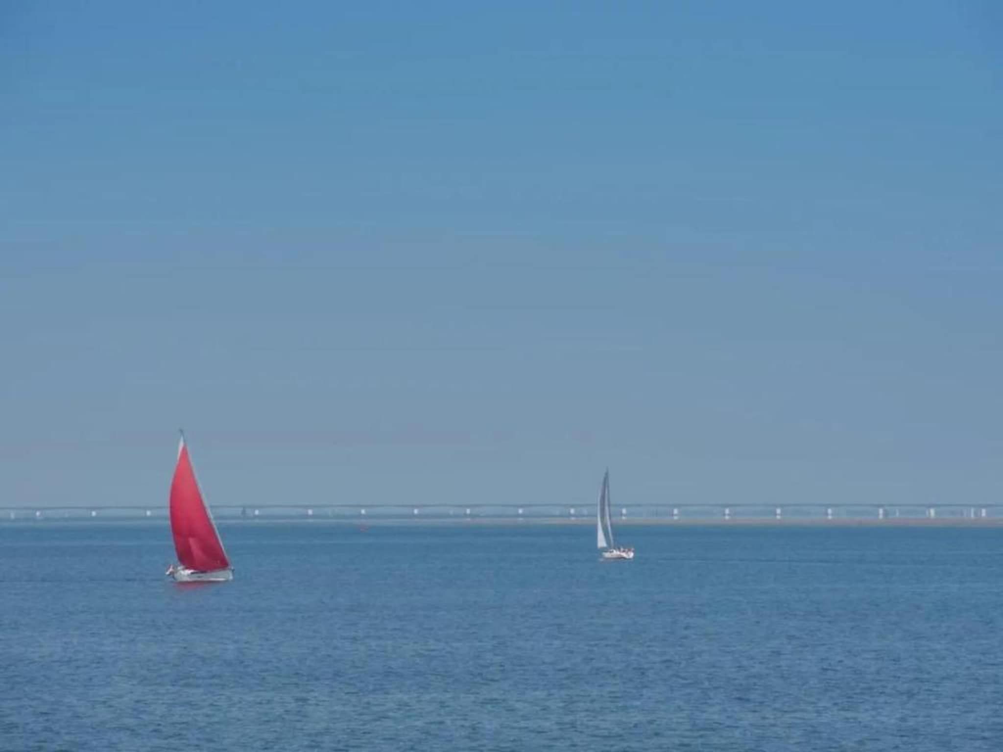 Licykreken in Wemeldinge - Foto 23 van 40