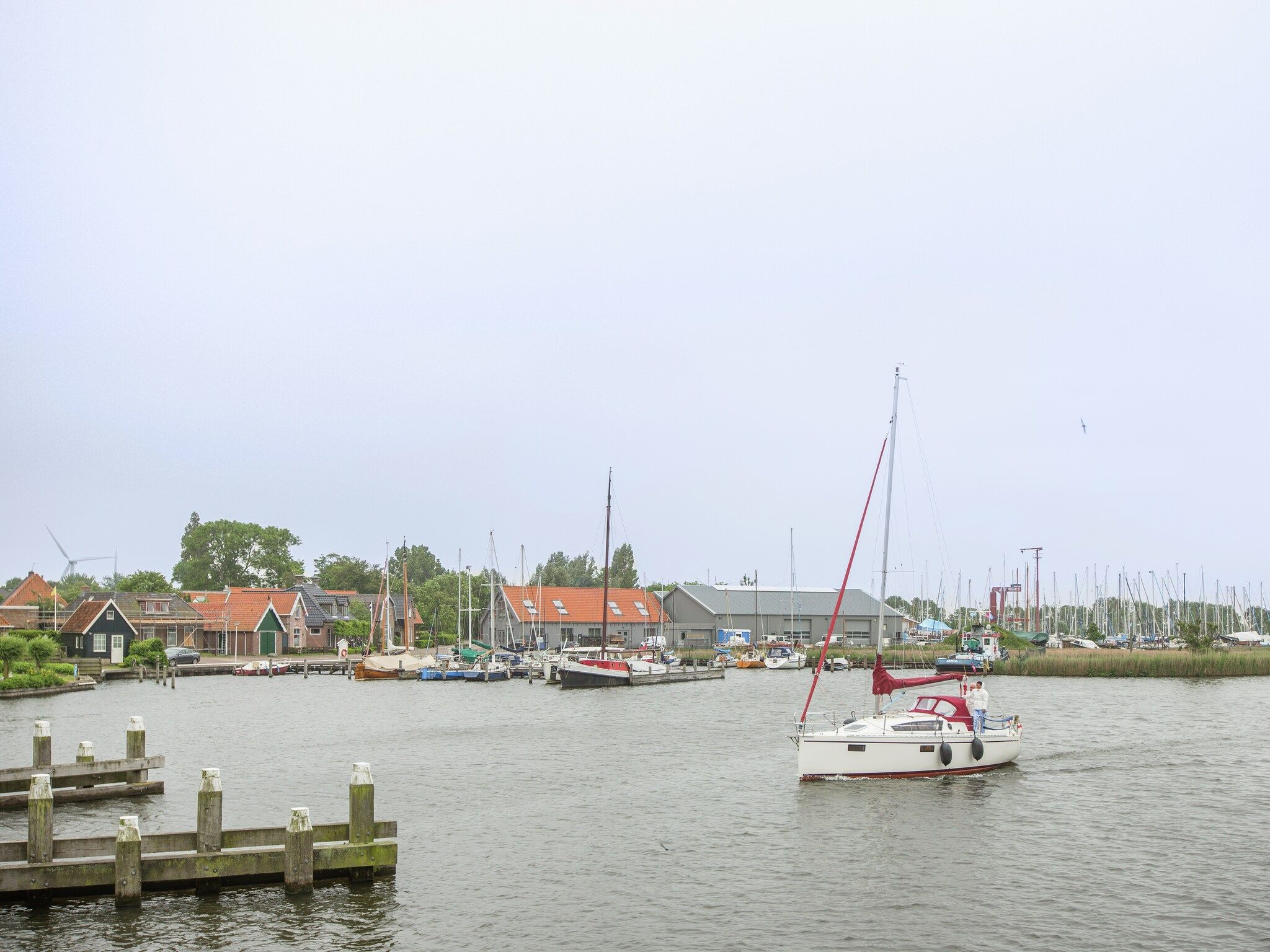 De omgeving van De Goudsbloem in Molkwerum