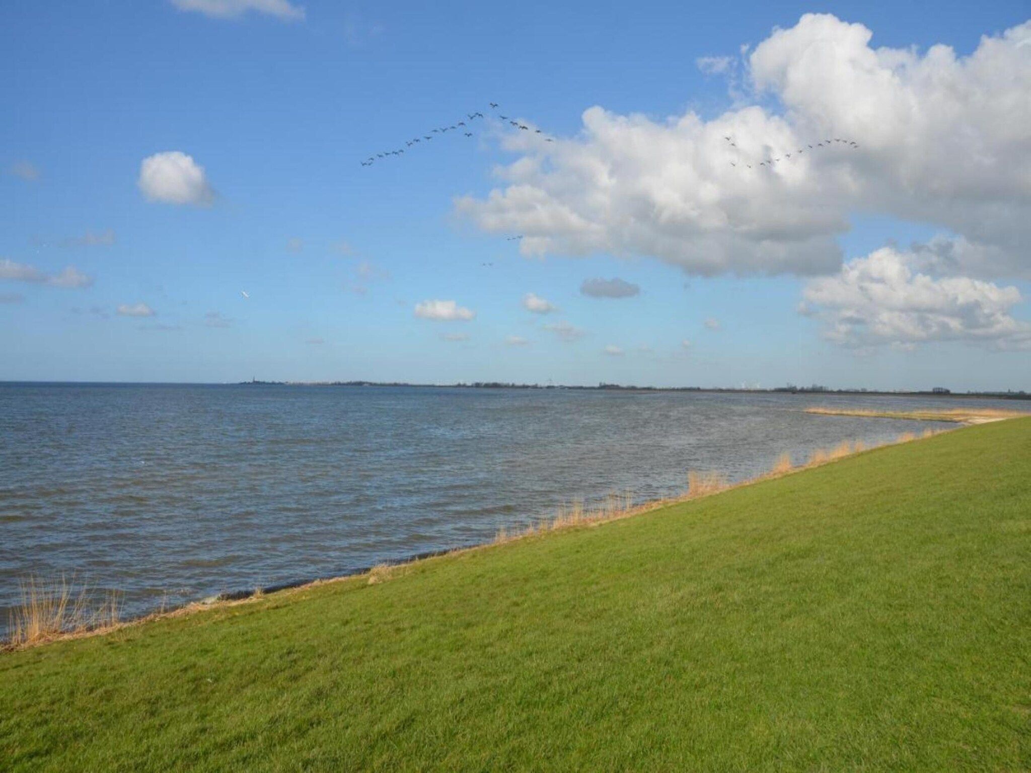 De omgeving van De Goudsbloem in Molkwerum