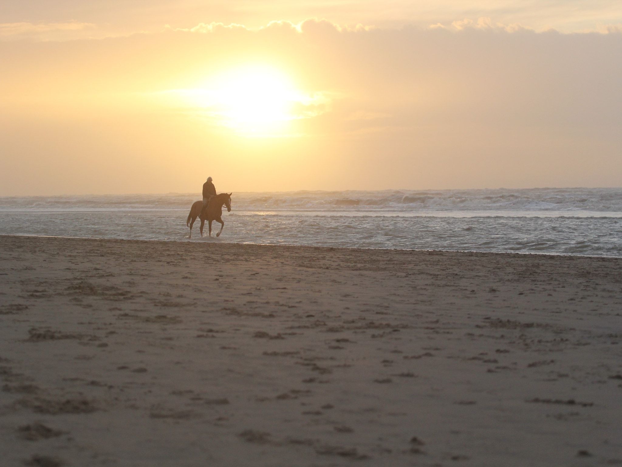 De omgeving van Vakantiepark Duinrust 1 in Noordwijk aan zee