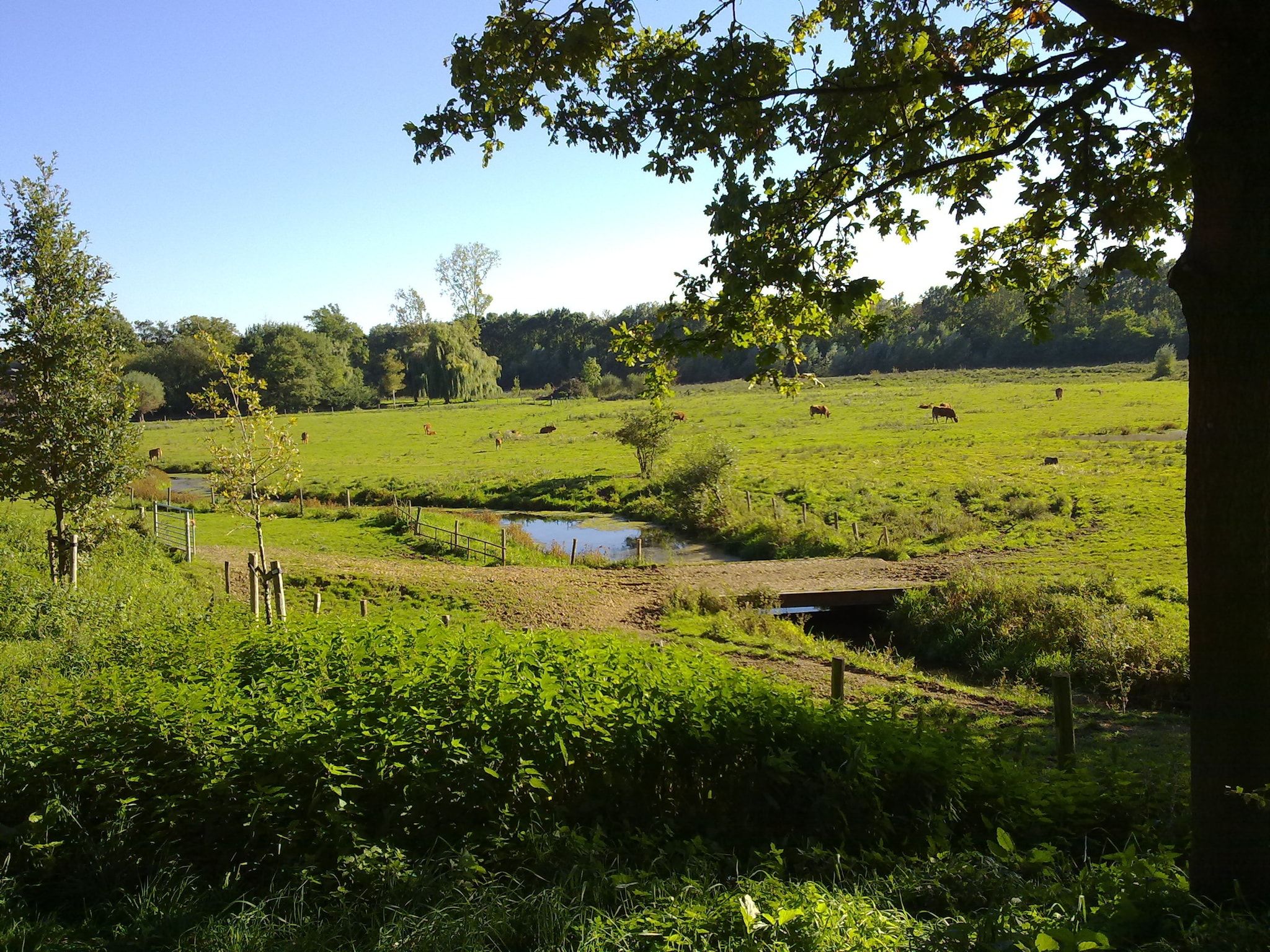 Maasheuvel in Roosteren - Foto 34 van 40