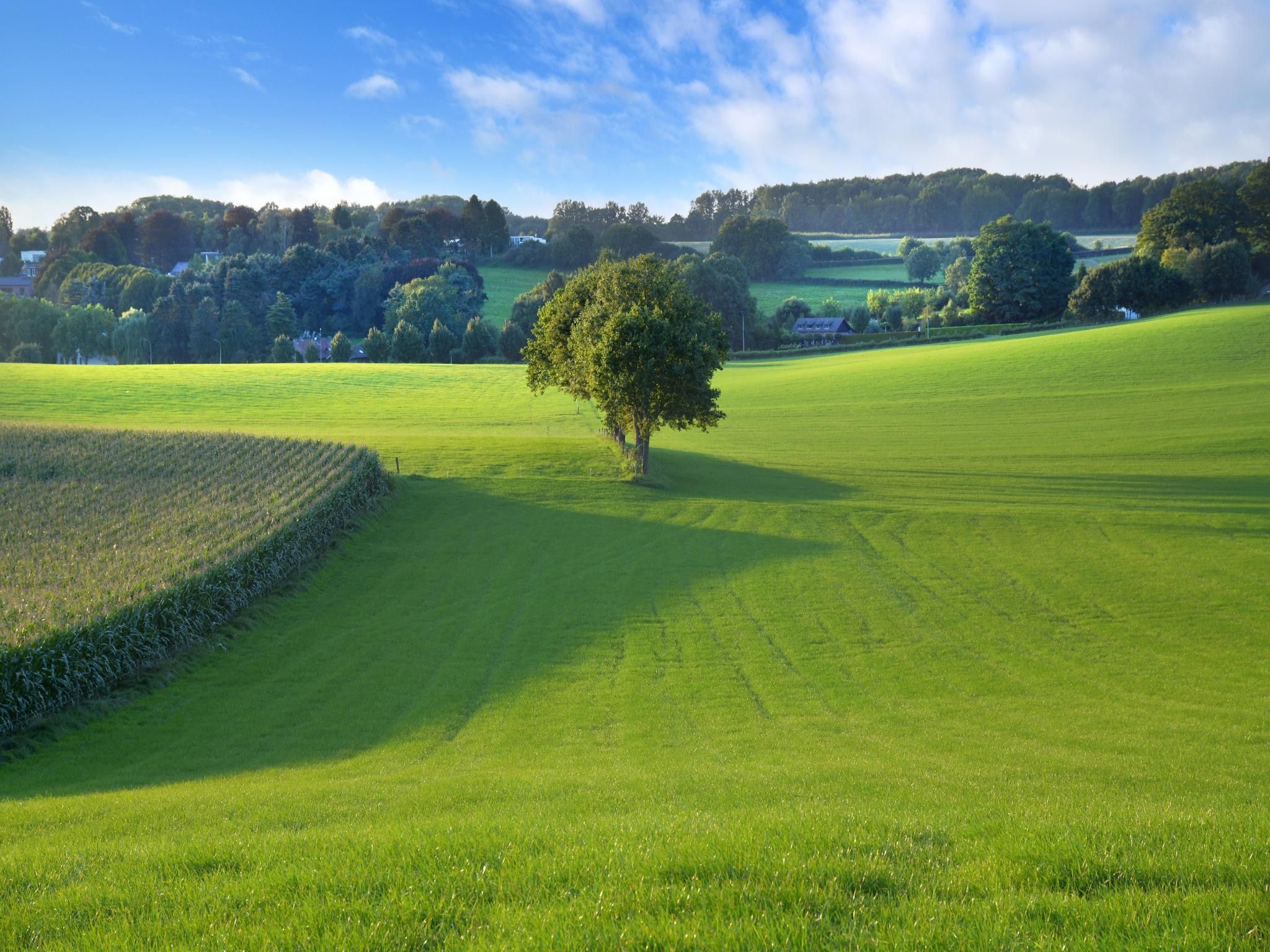 Hoeve A Gen Water - Hummesknupke in Slenaken - Foto 30 van 40
