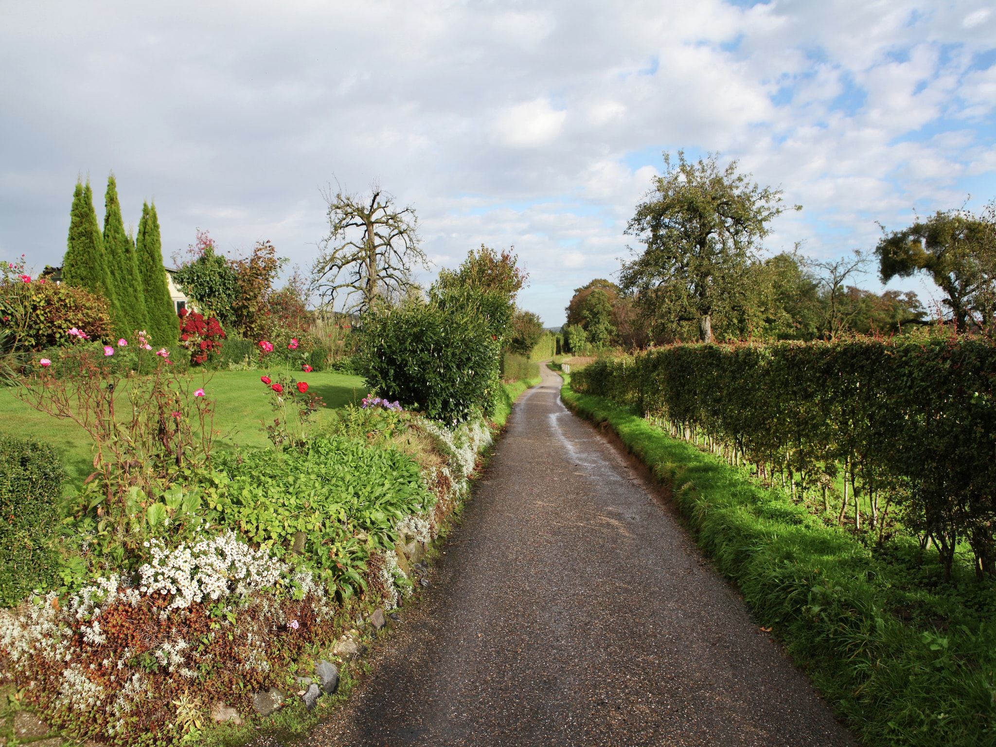 De tuin van i gen Roemel in Epen