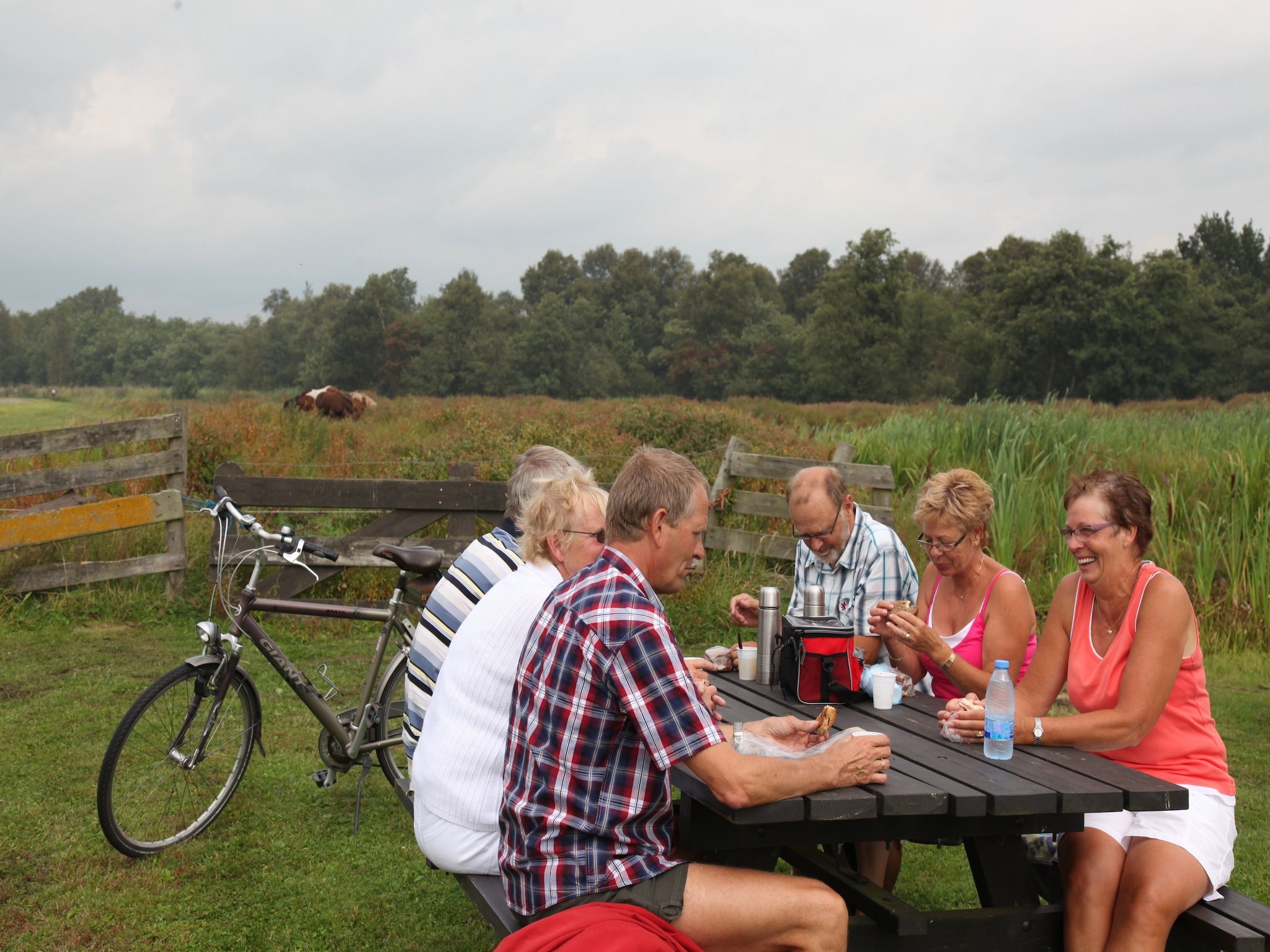 De omgeving van Waterpark Belterwiede 4 in Wanneperveen