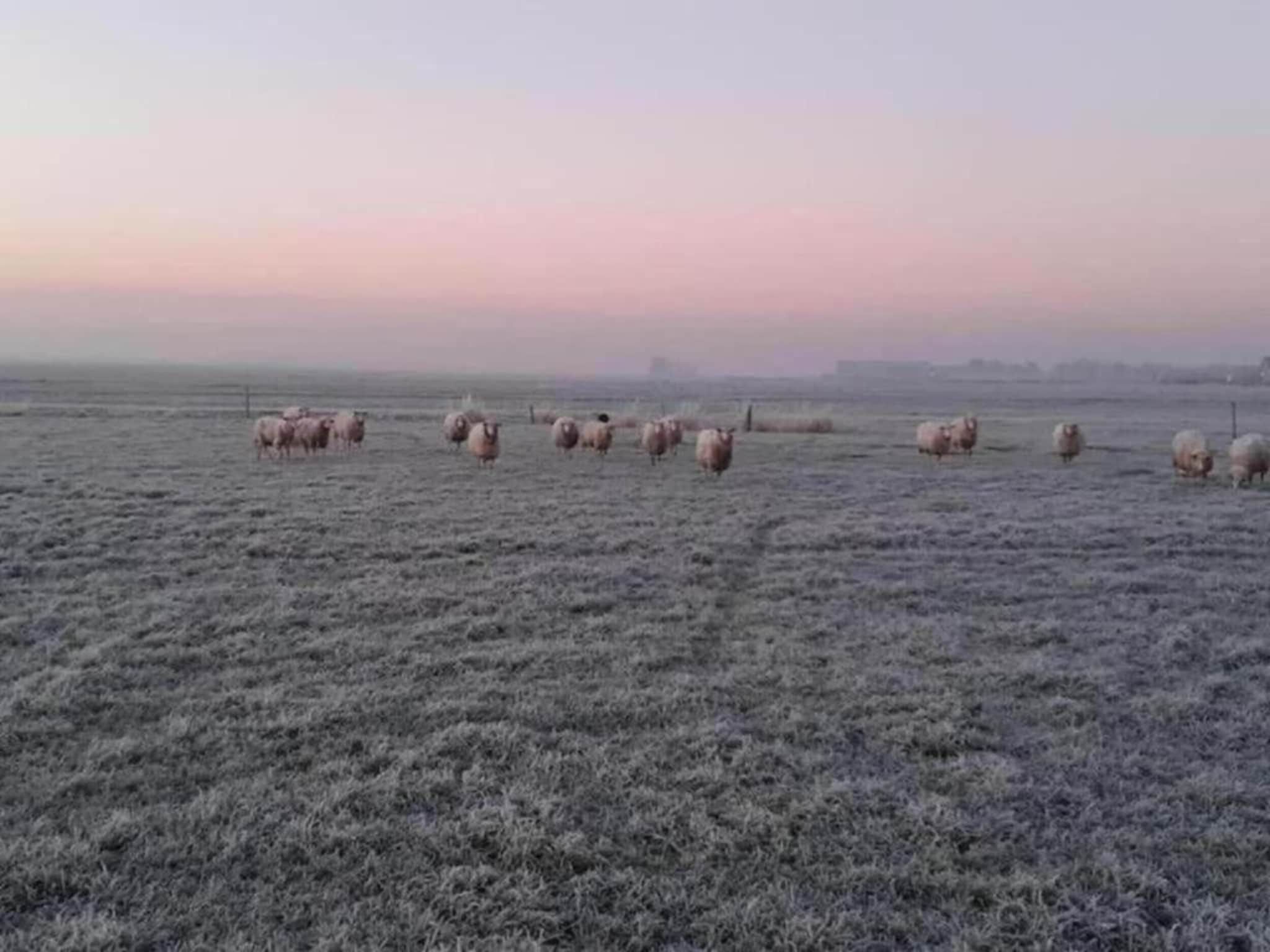 De omgeving van Lyts Sypenstien in Langweer