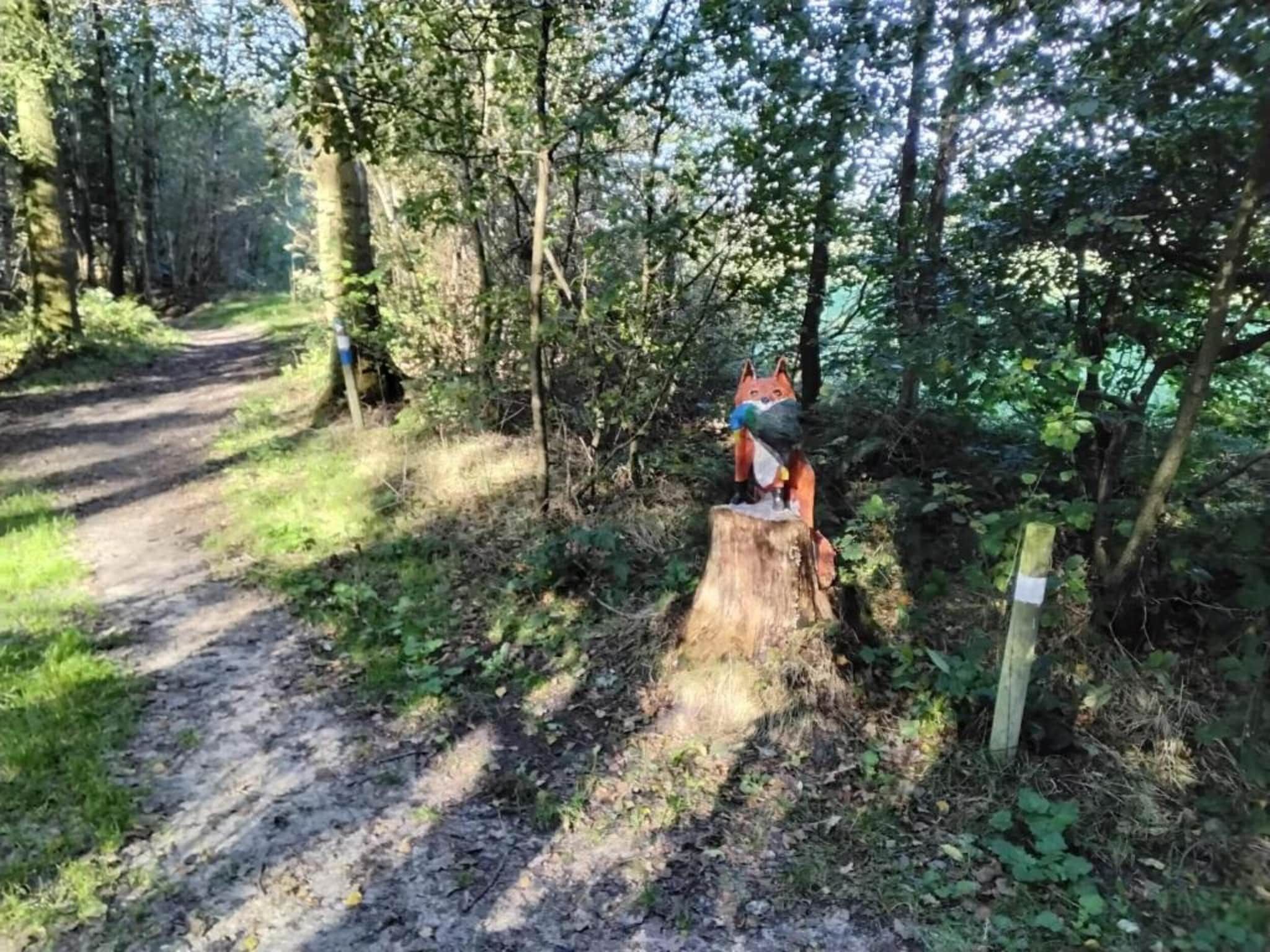 De omgeving van Lyts Sypenstien in Langweer