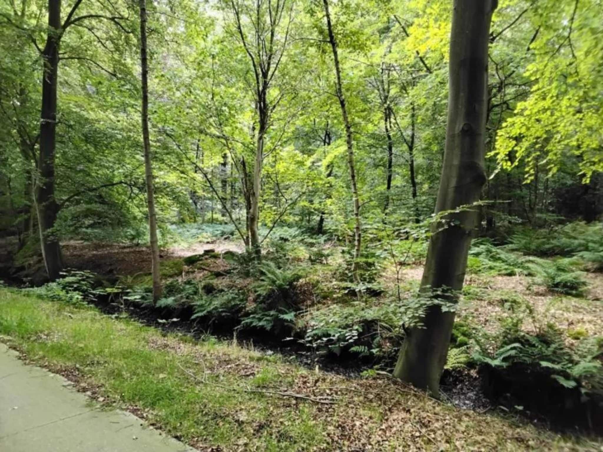 De omgeving van Lyts Sypenstien in Langweer