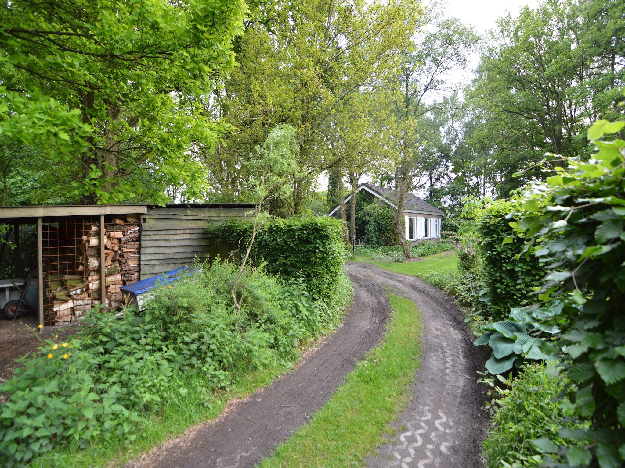 De tuin van Vier Vogelenzang in Vessem